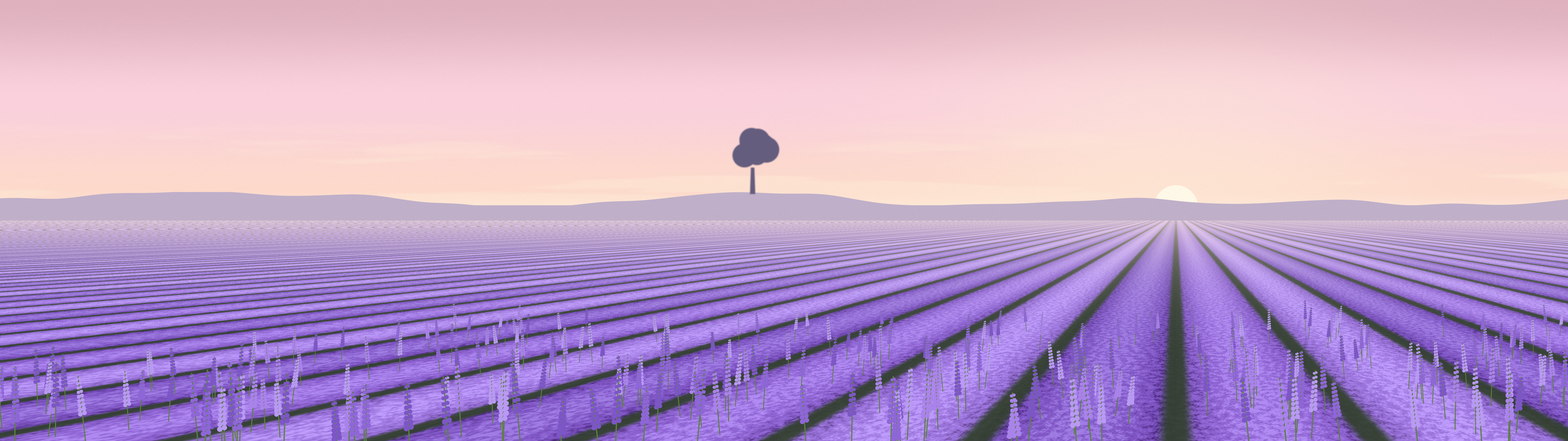 Pastel Pink Lavender Field dual monitor wallpaper, 7680 × 2160