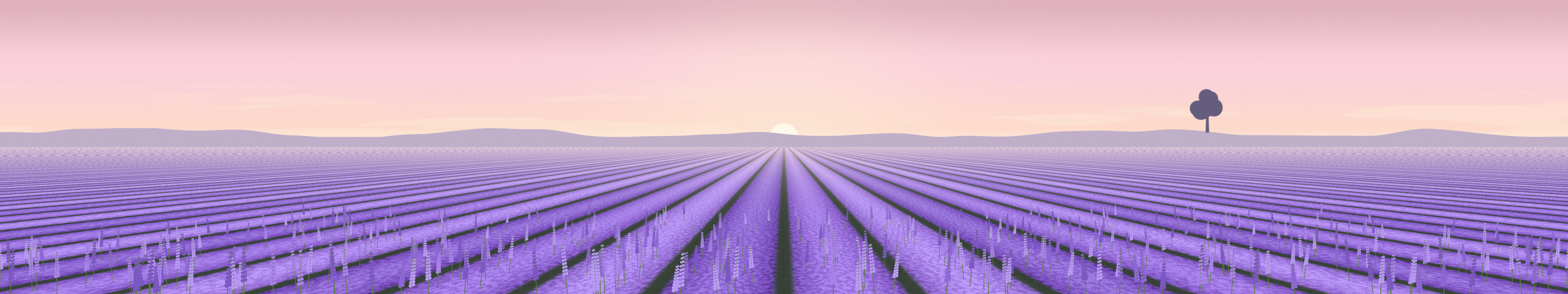 Pastel Pink Lavender Field triple monitor wallpaper, 7680 × 1440