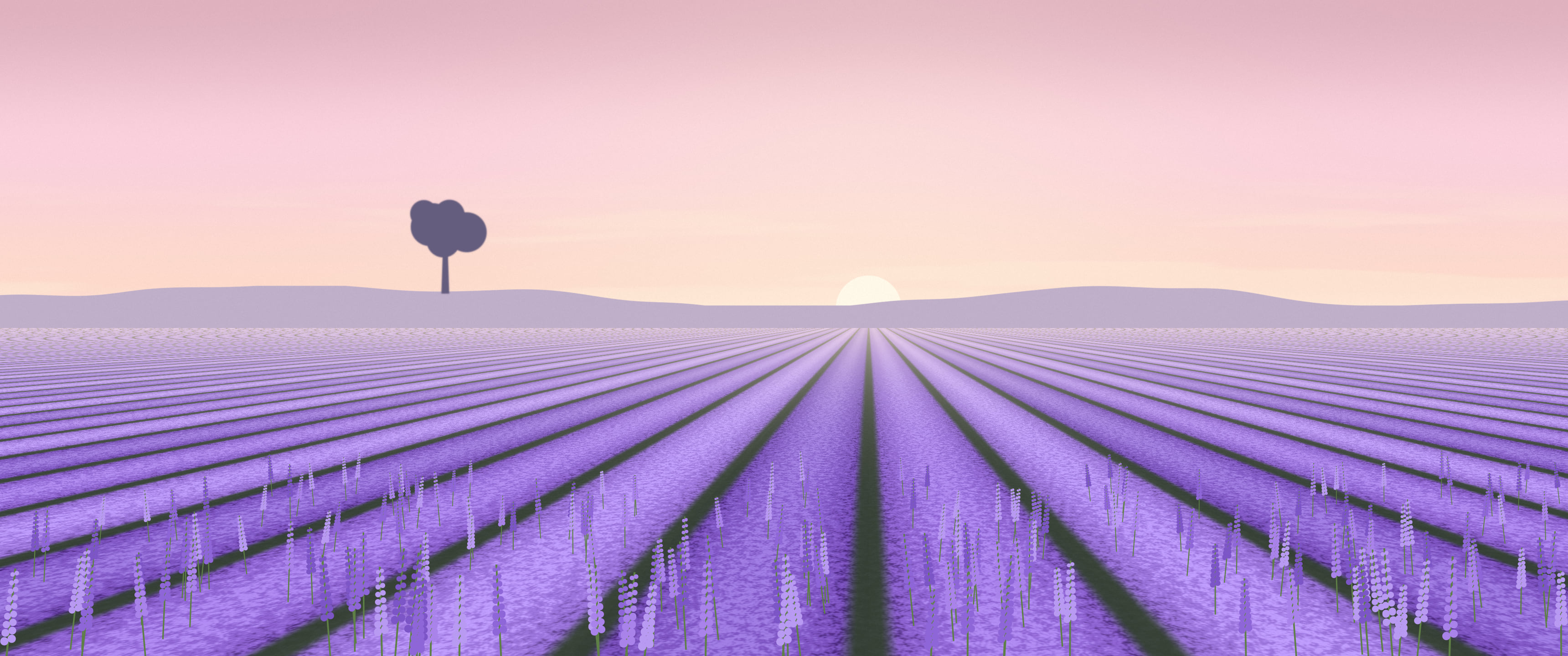 Pastel Pink Lavender Field ultrawide wallpaper, 3440 × 1440