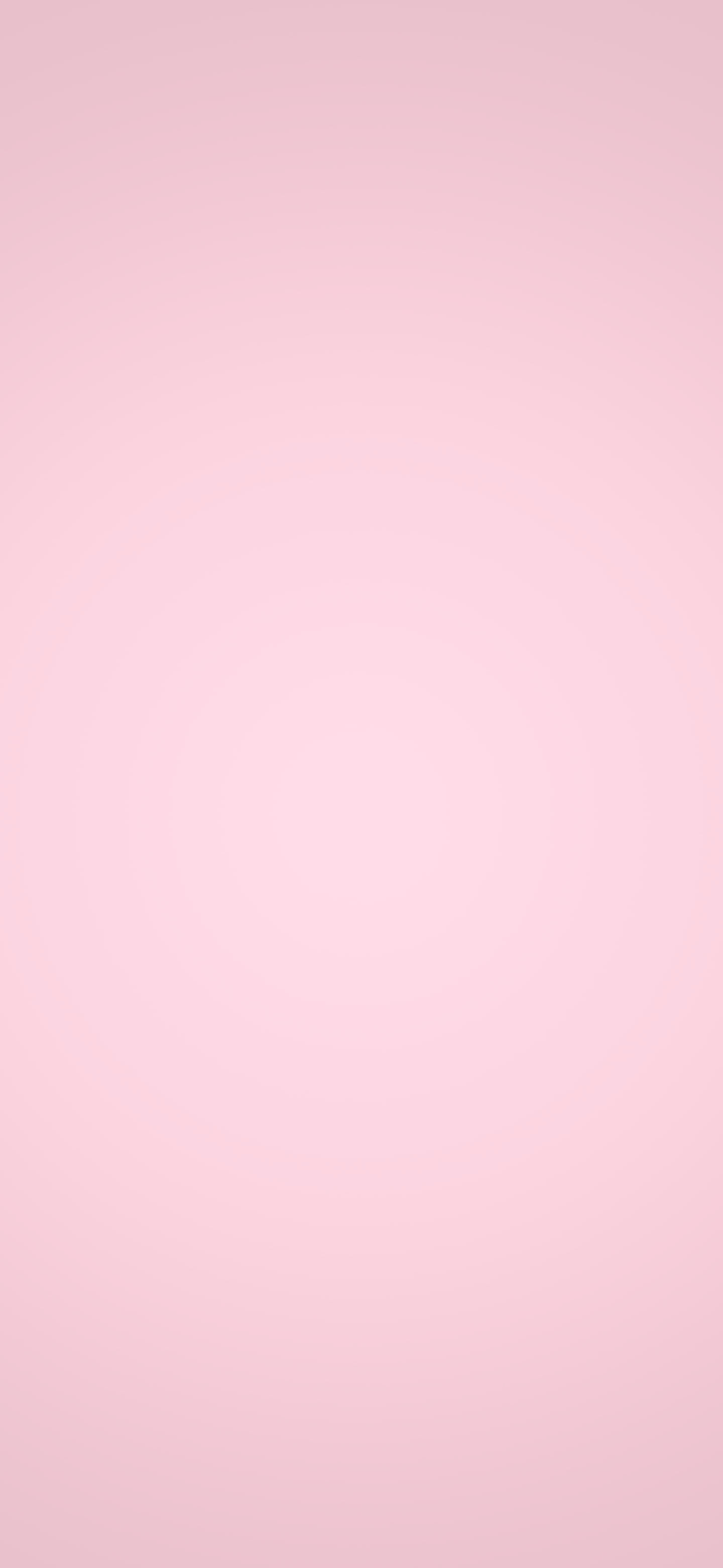 Pastel Pink Soft Solid Color wallpaper for iPhone and Android