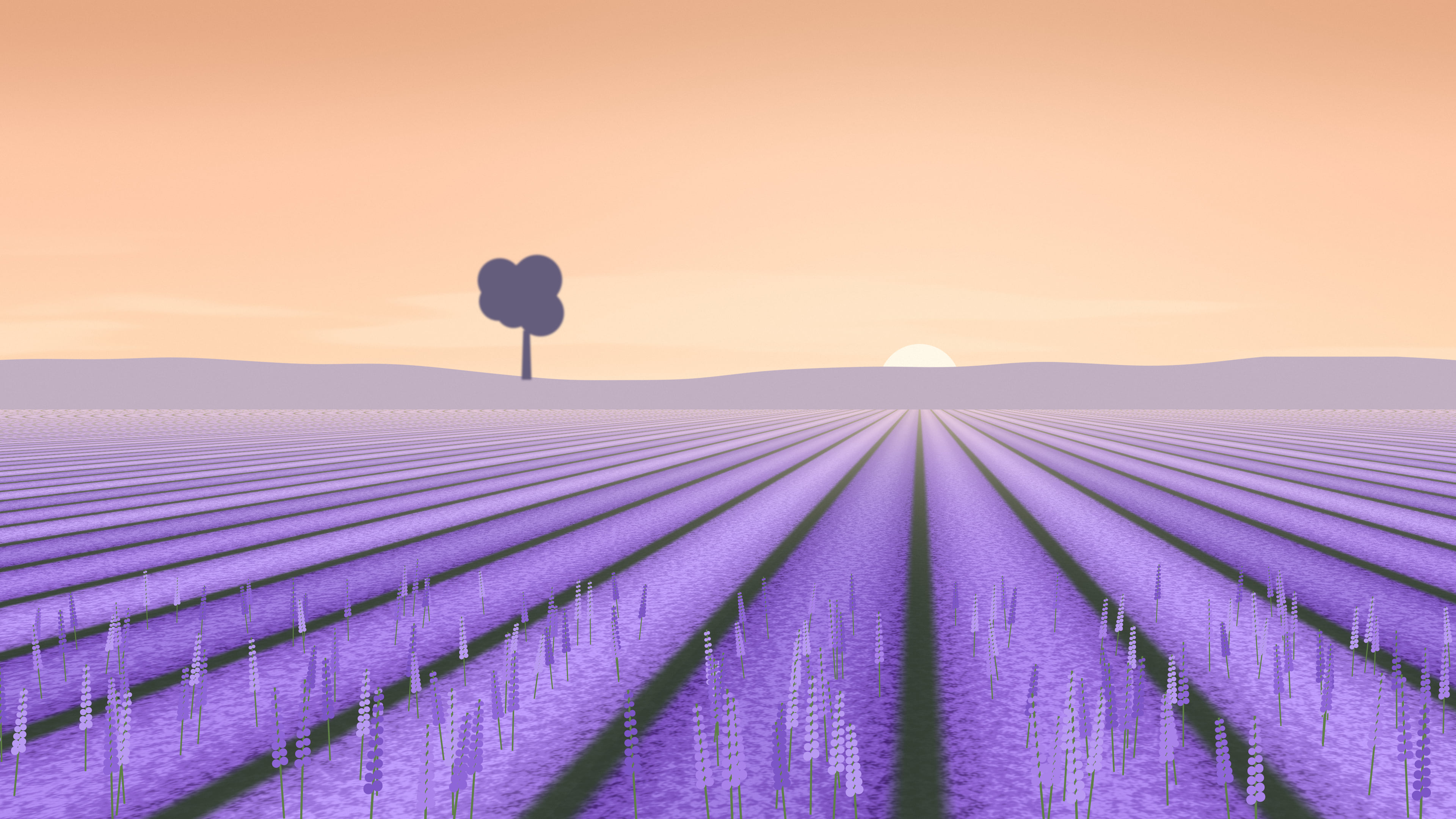 Peach Lavender Field desktop wallpaper in 4K
