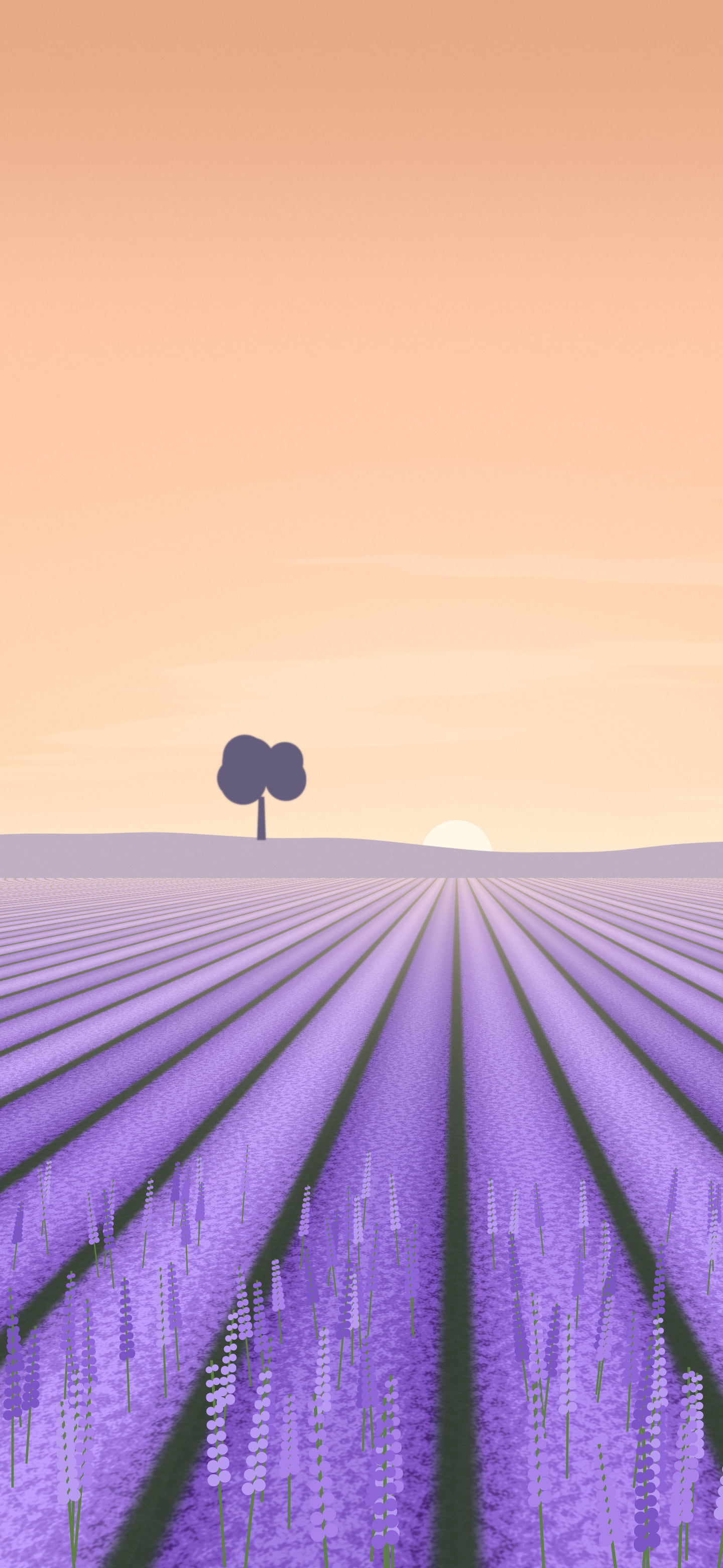 Peach Lavender Field wallpaper for iPhone and Android