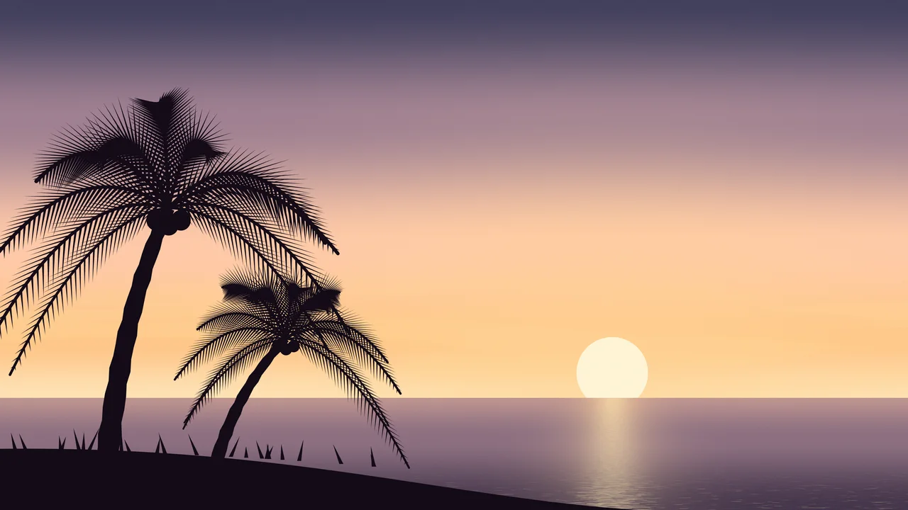 Peach Palm Tree Sunset desktop wallpaper in 4K