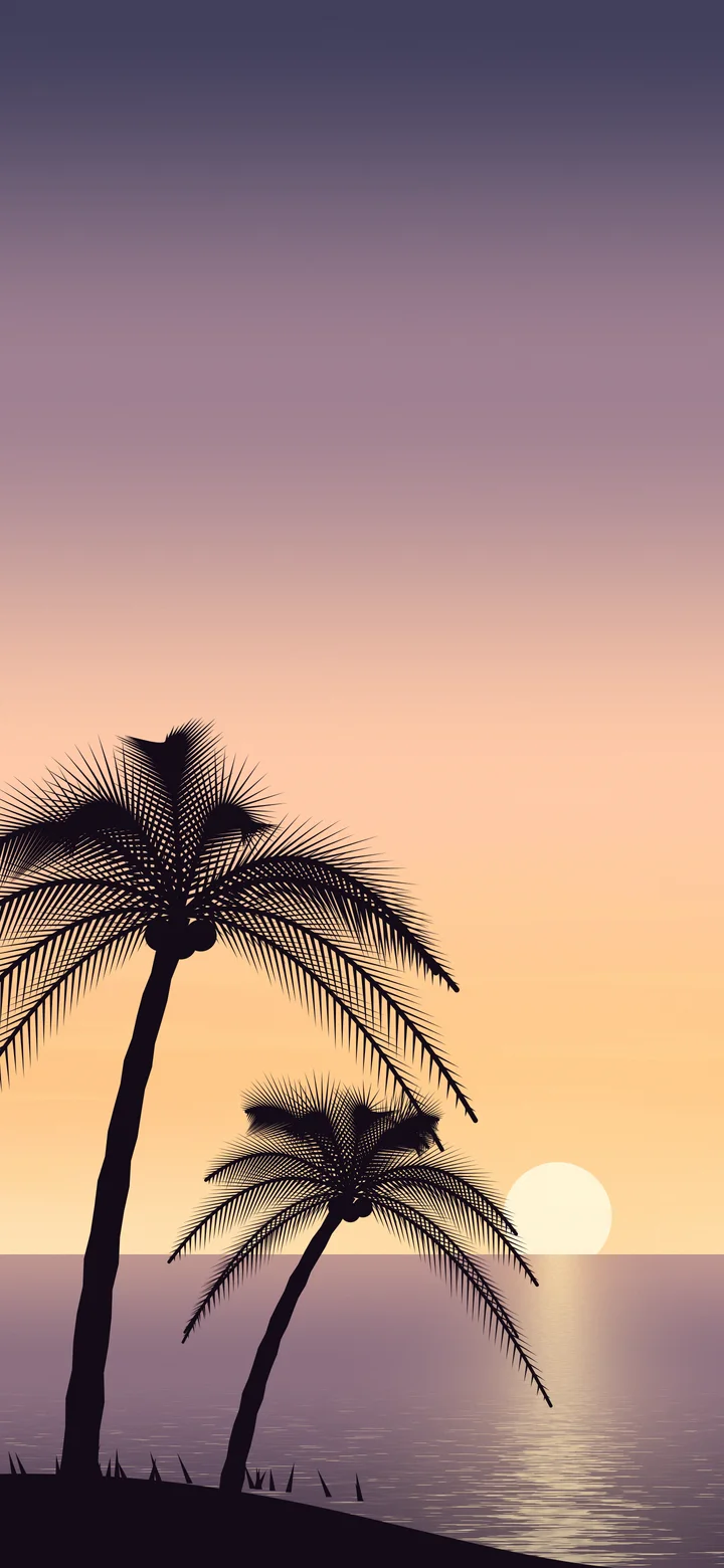 Peach Palm Tree Sunset wallpaper for iPhone and Android