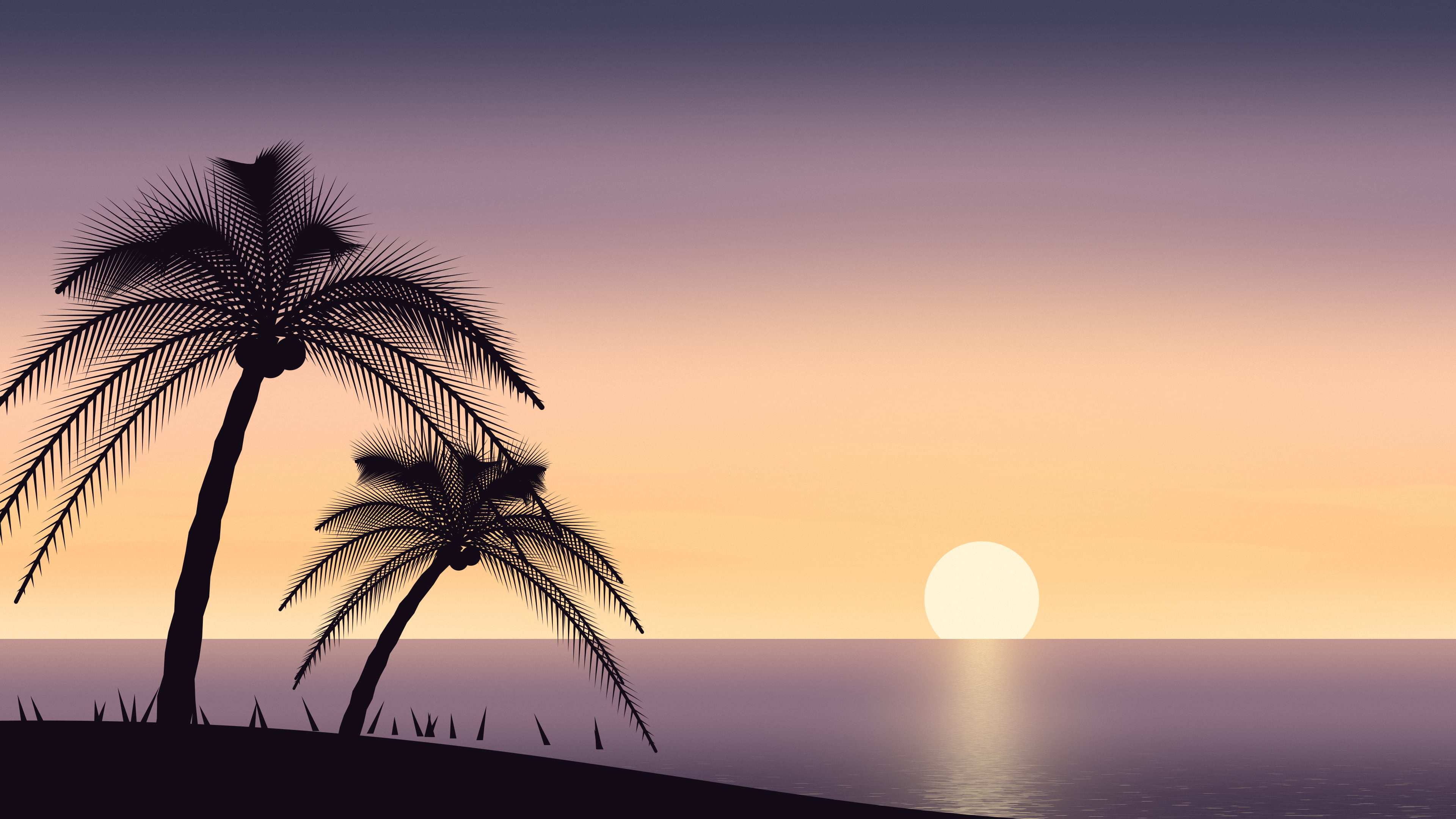 Peach Palm Tree Sunset desktop wallpaper in 4K