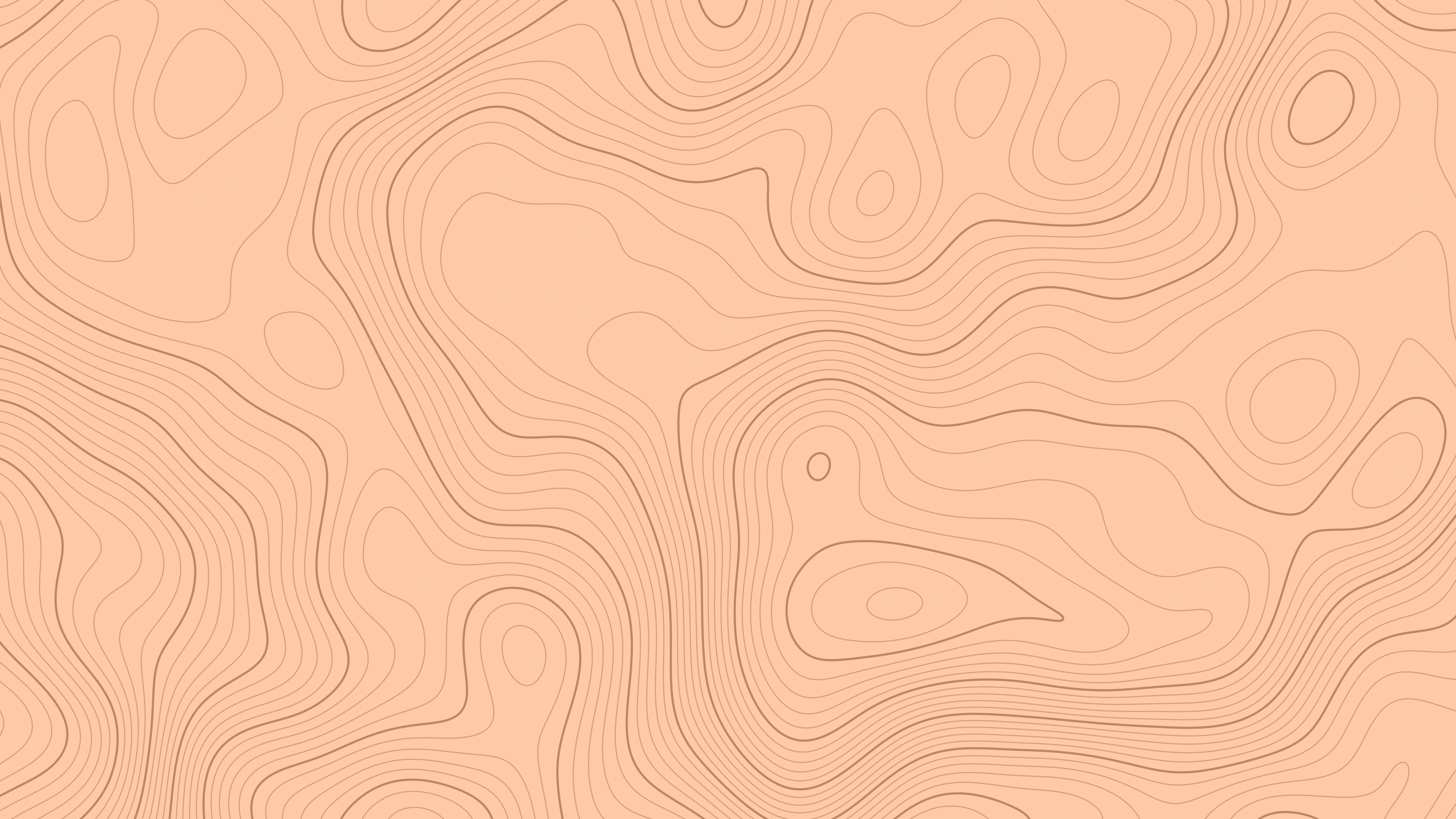 Peach Topographic Line desktop wallpaper in 4K