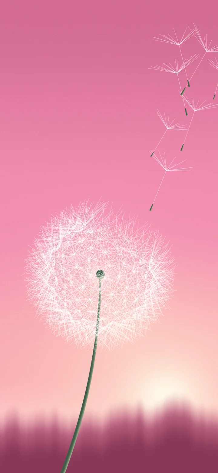 Pink Dandelion wallpaper for iPhone and Android