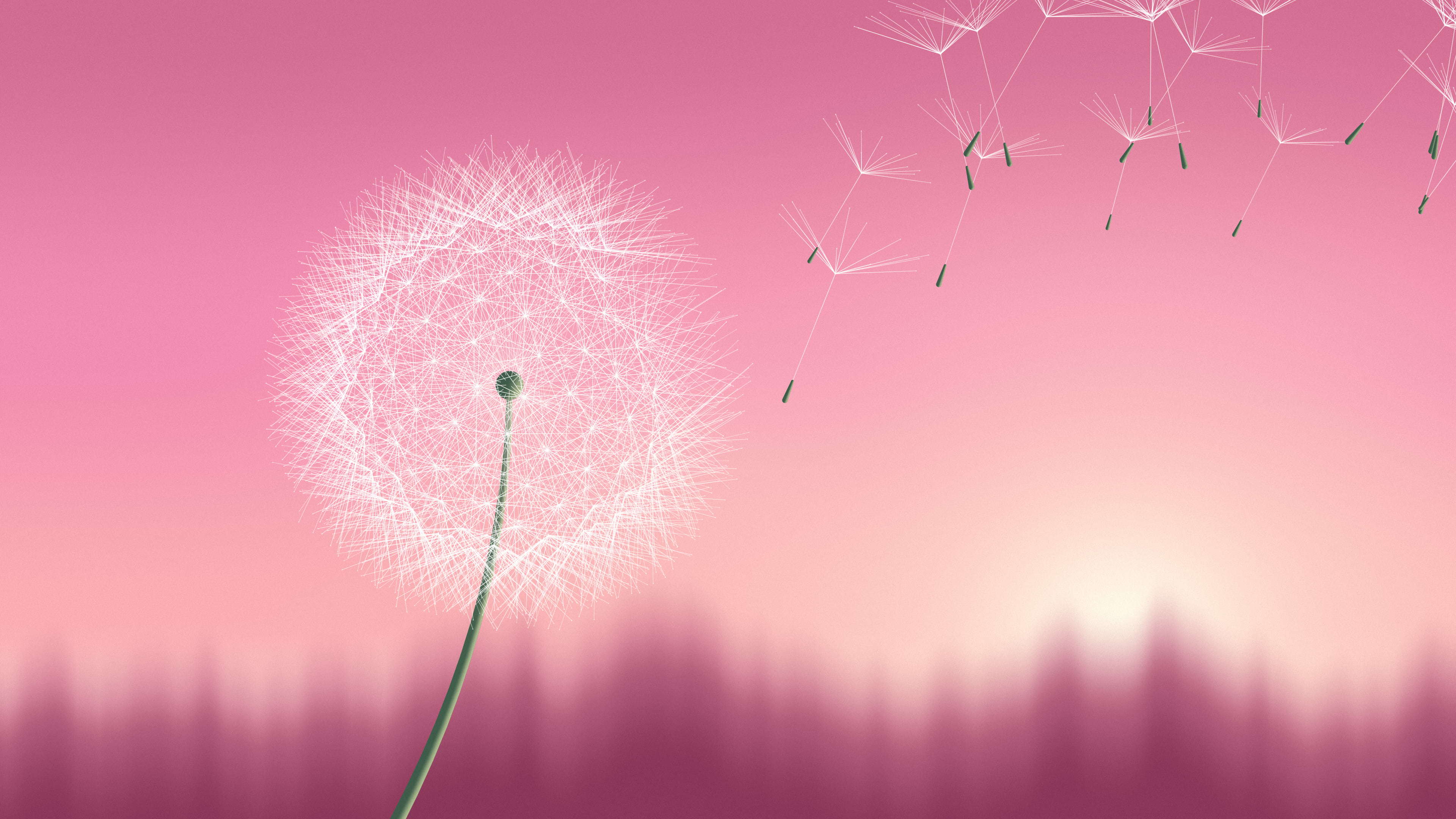 Pink Dandelion desktop wallpaper in 4K