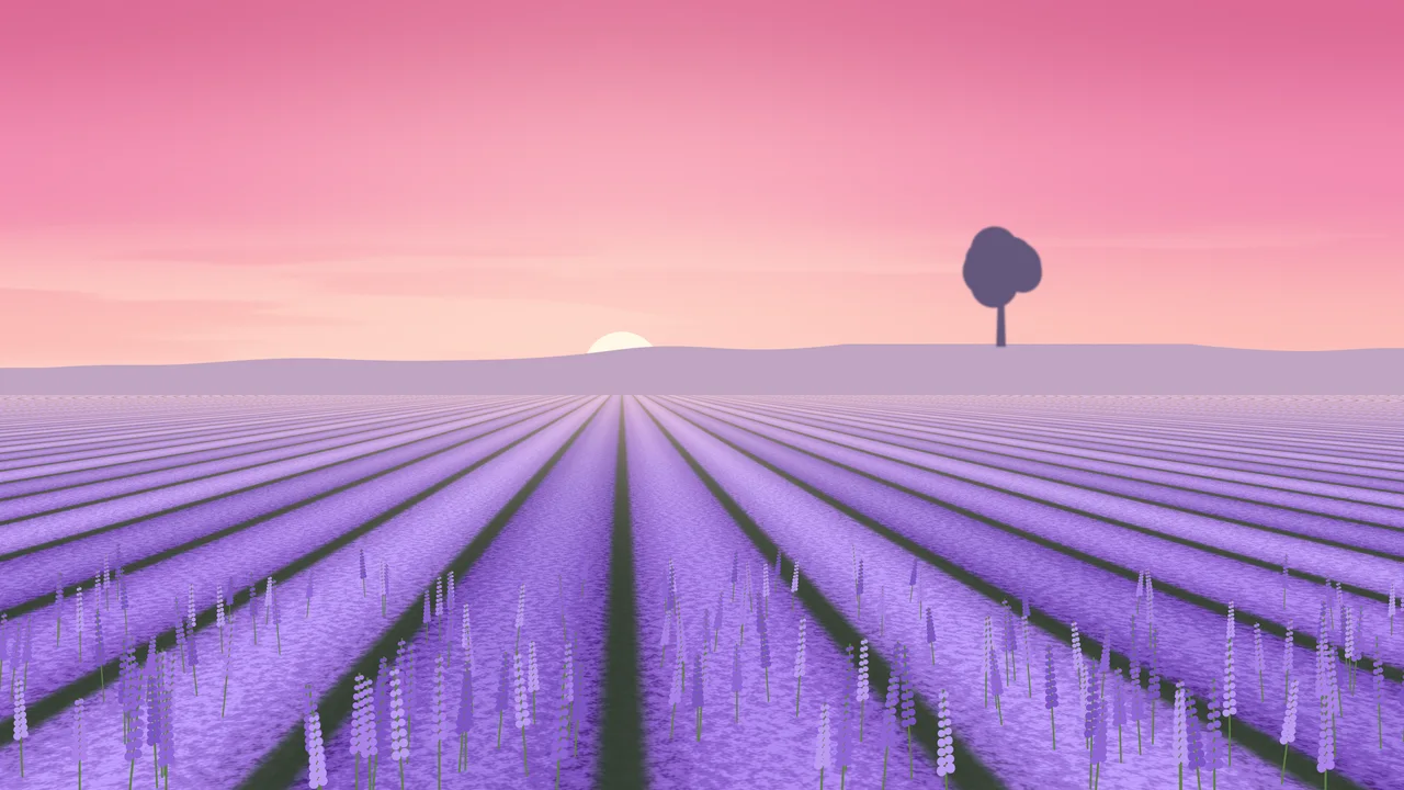Pink Lavender Field desktop wallpaper in 4K