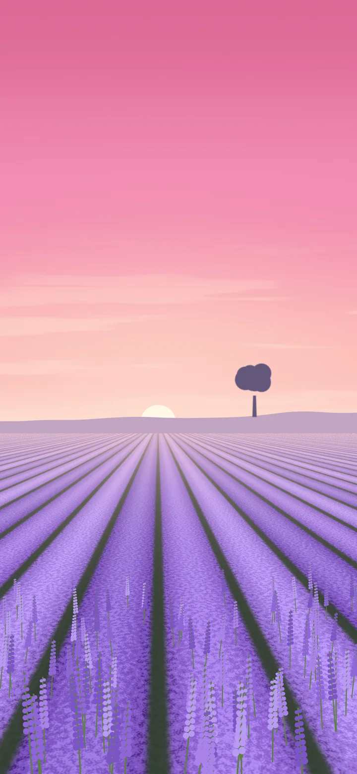 Pink Lavender Field wallpaper for iPhone and Android