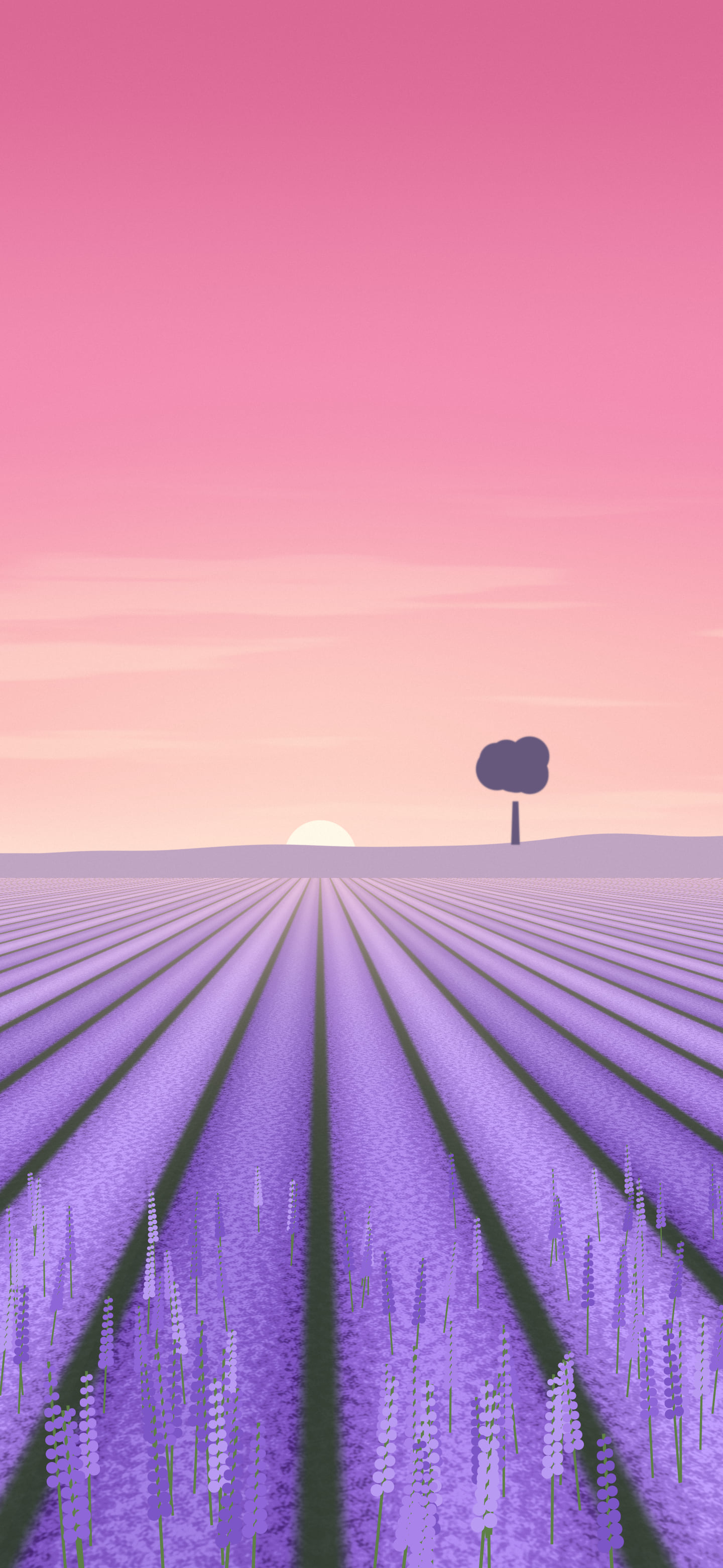 Pink Lavender Field wallpaper for iPhone and Android