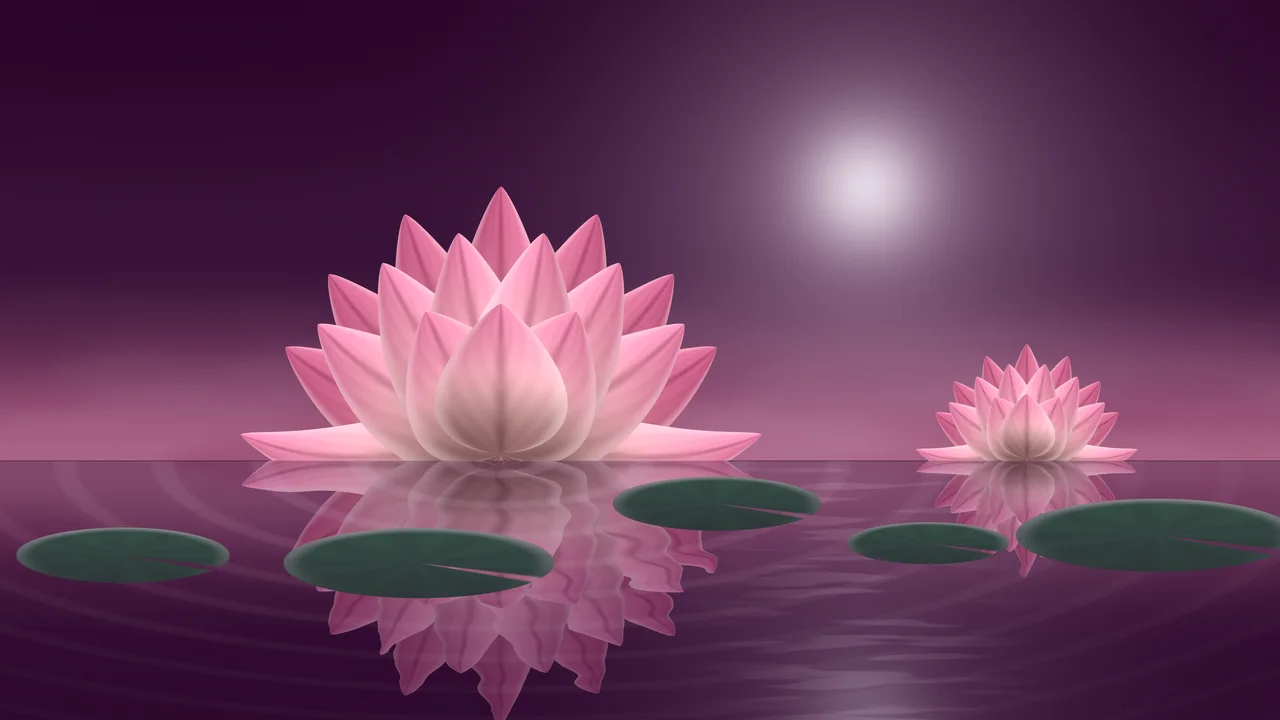 Pink Lotus Flower desktop wallpaper in 4K