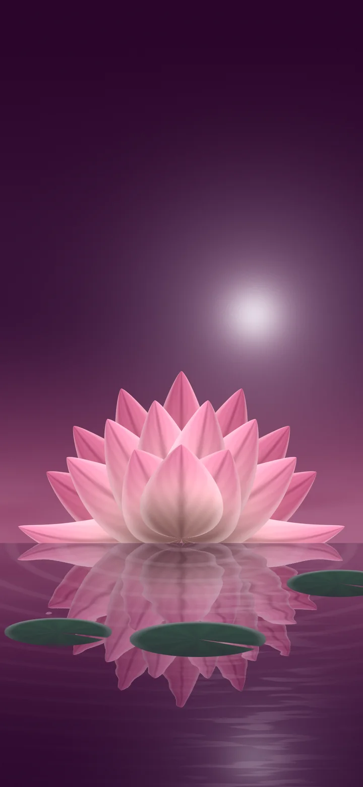 Pink Lotus Flower wallpaper for iPhone and Android