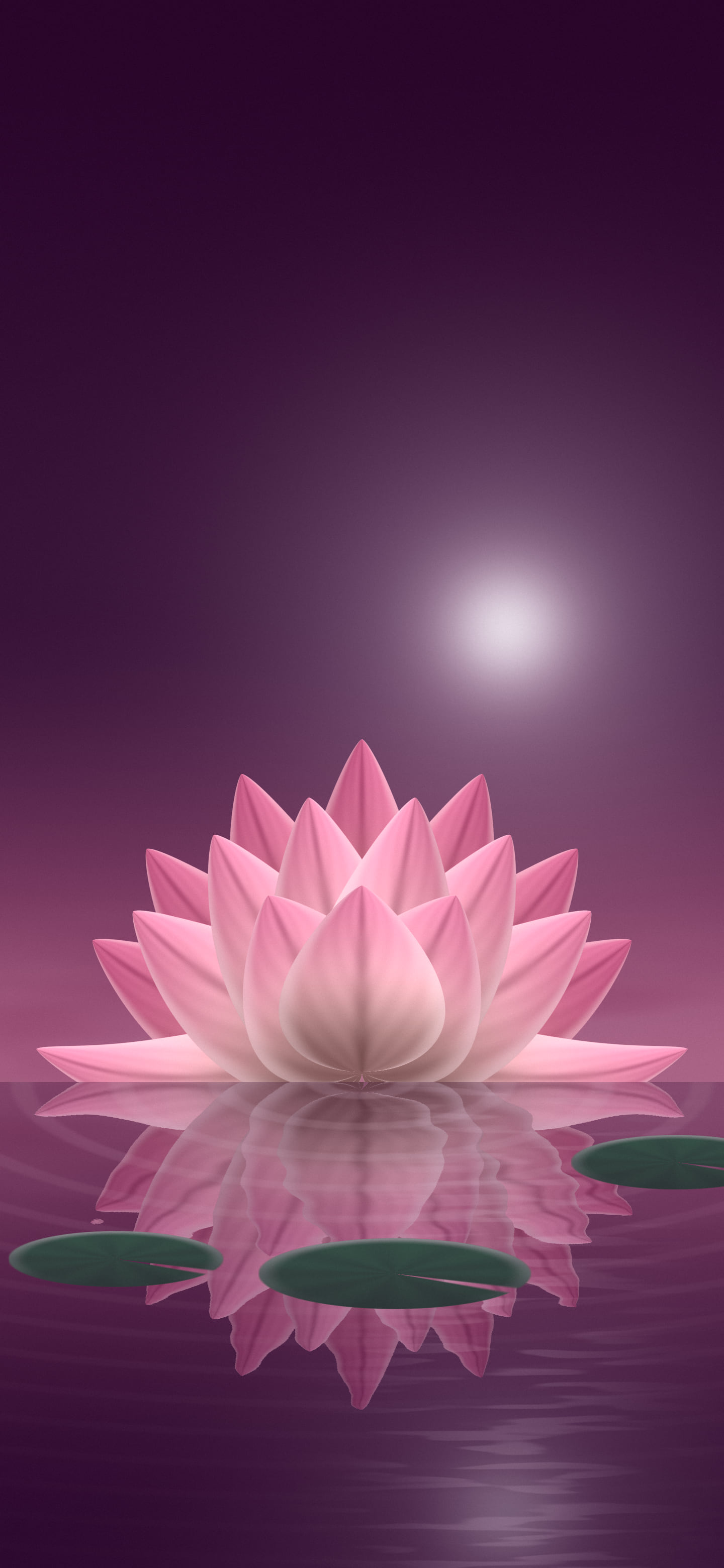 Pink Lotus Flower wallpaper for iPhone and Android