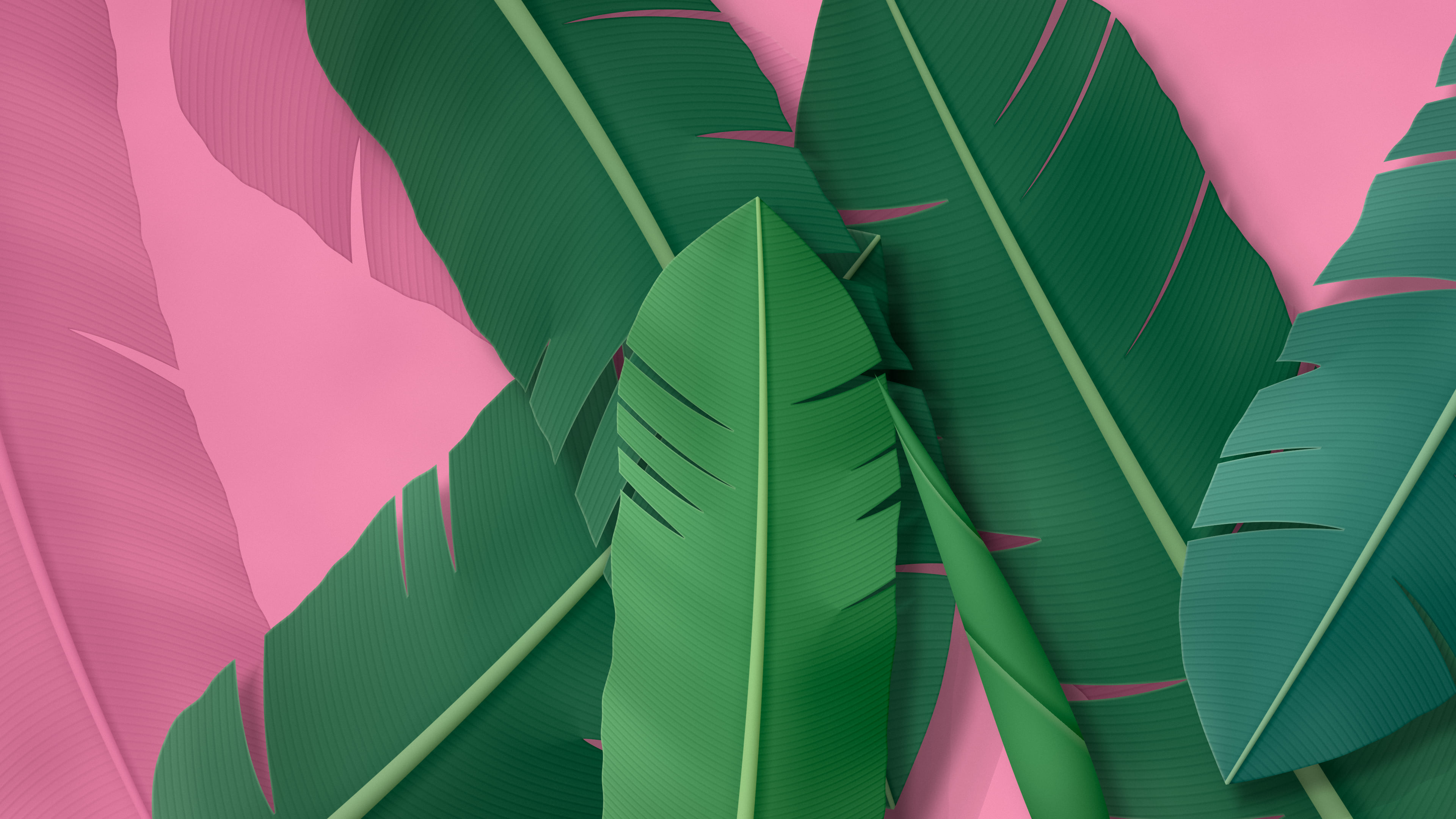 Pink Paper Banana Leaves desktop wallpaper in 4K