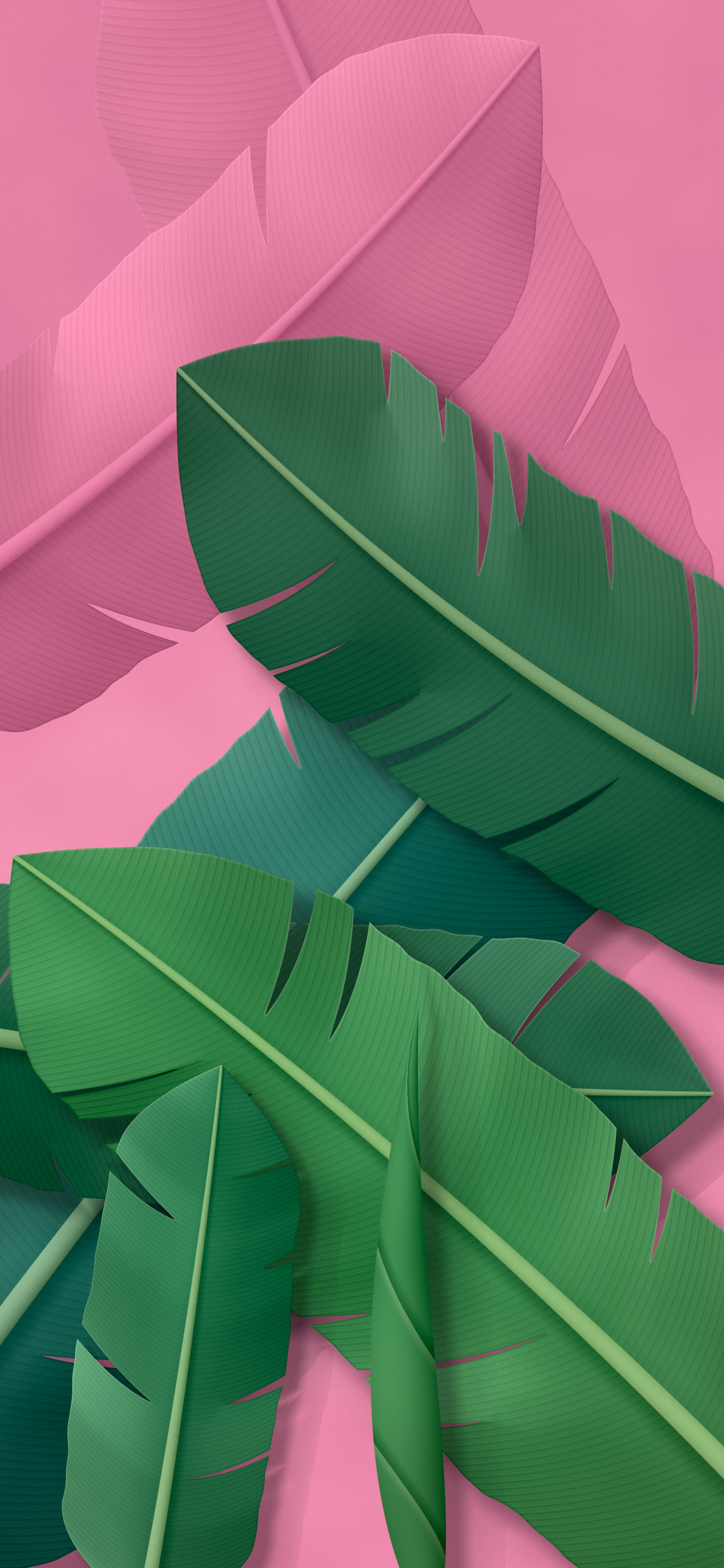 Pink Paper Banana Leaves wallpaper for iPhone and Android