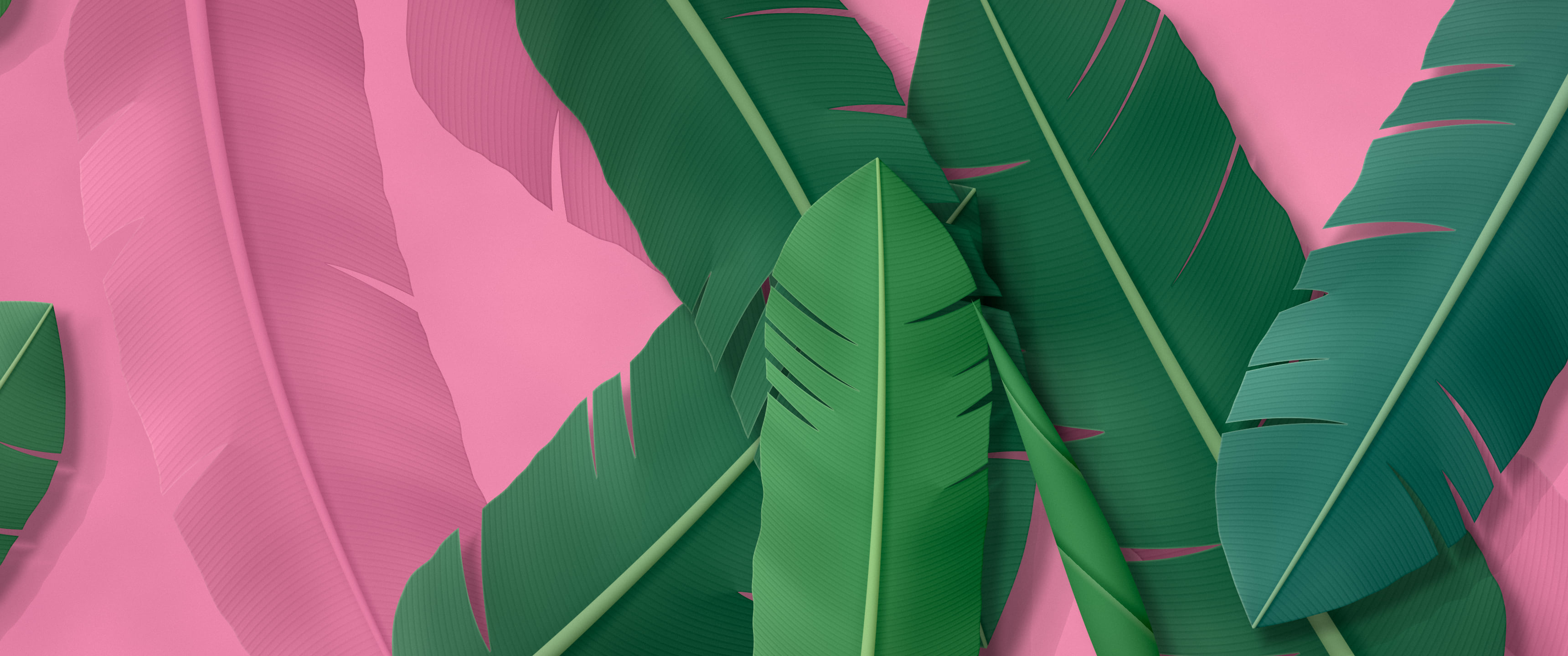 Pink Paper Banana Leaves ultrawide wallpaper, 3440 × 1440