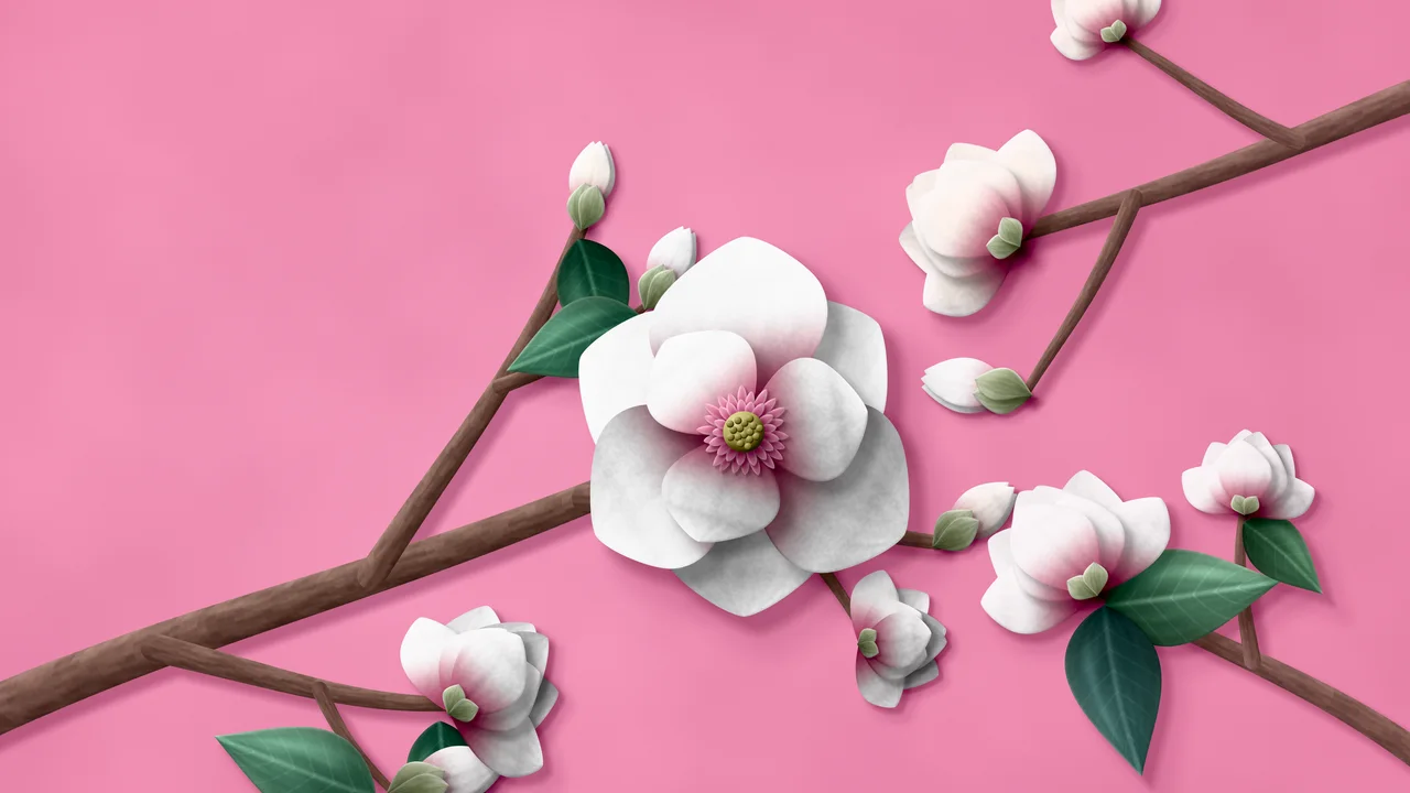 Pink Paper Magnolia Branch desktop wallpaper in 4K