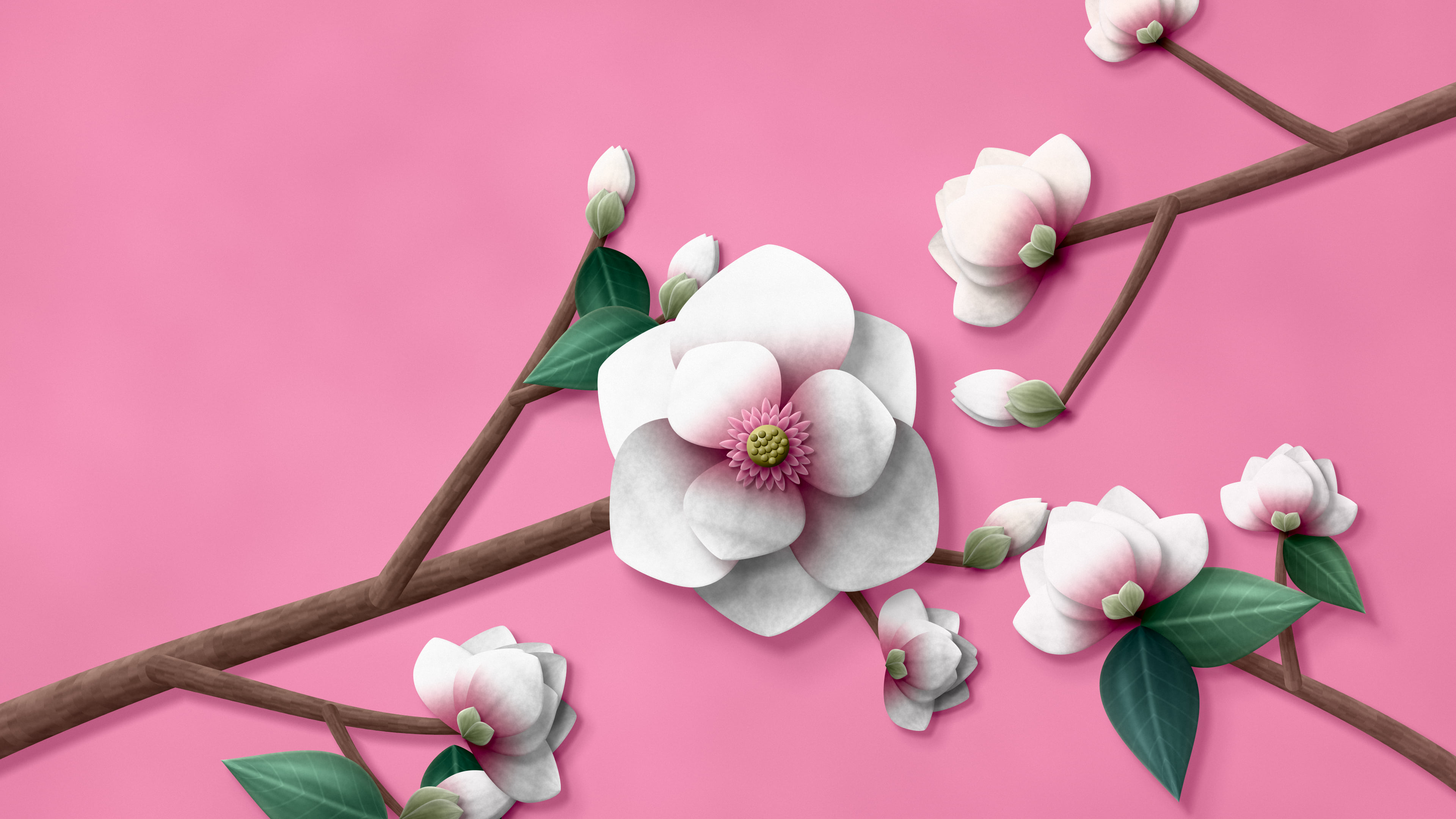 Pink Paper Magnolia Branch desktop wallpaper in 4K