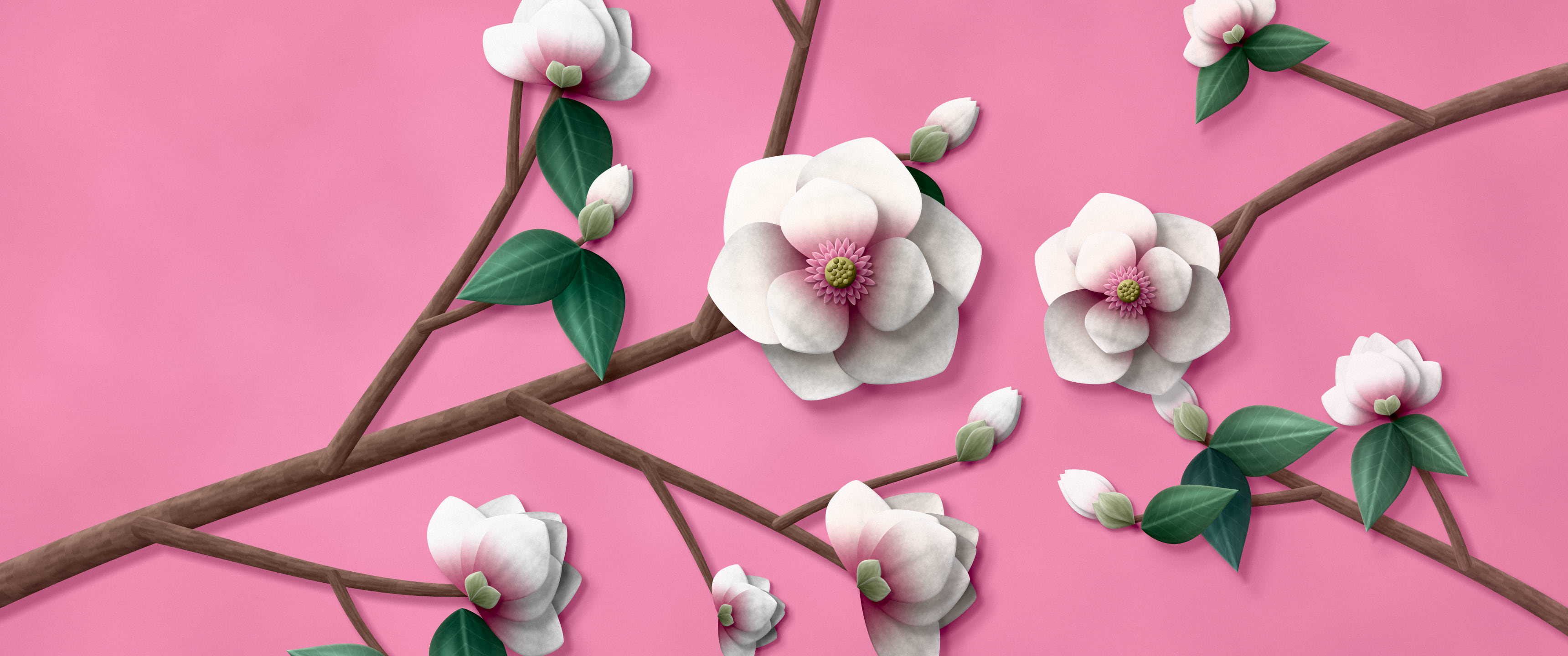 Pink Paper Magnolia Branch ultrawide wallpaper, 3440 × 1440