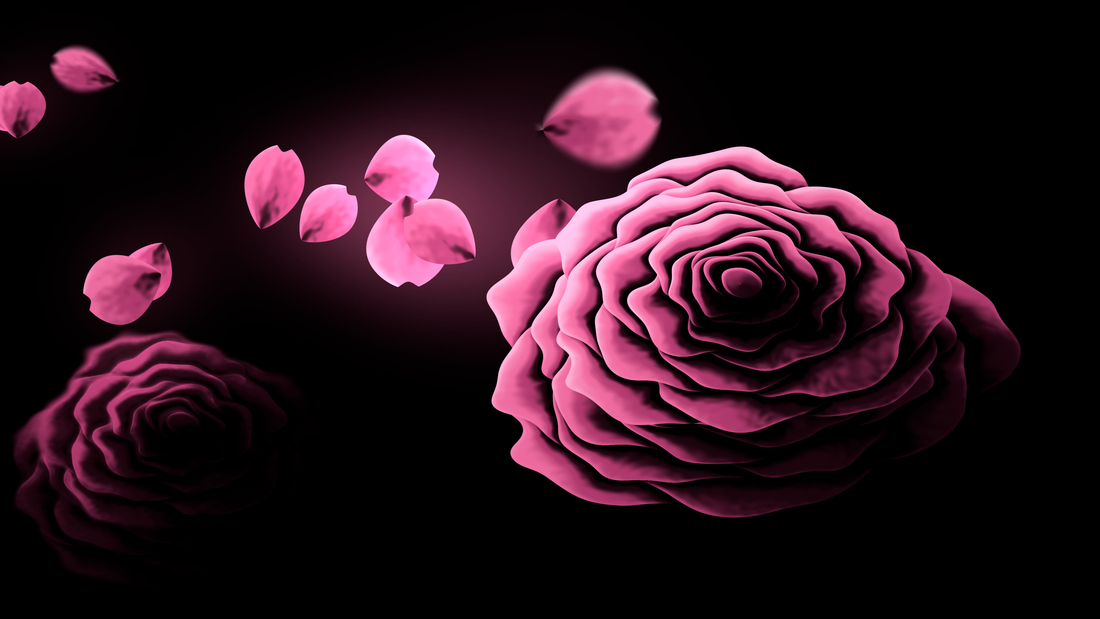 Pink Rose and Floating Petals desktop wallpaper in 4K