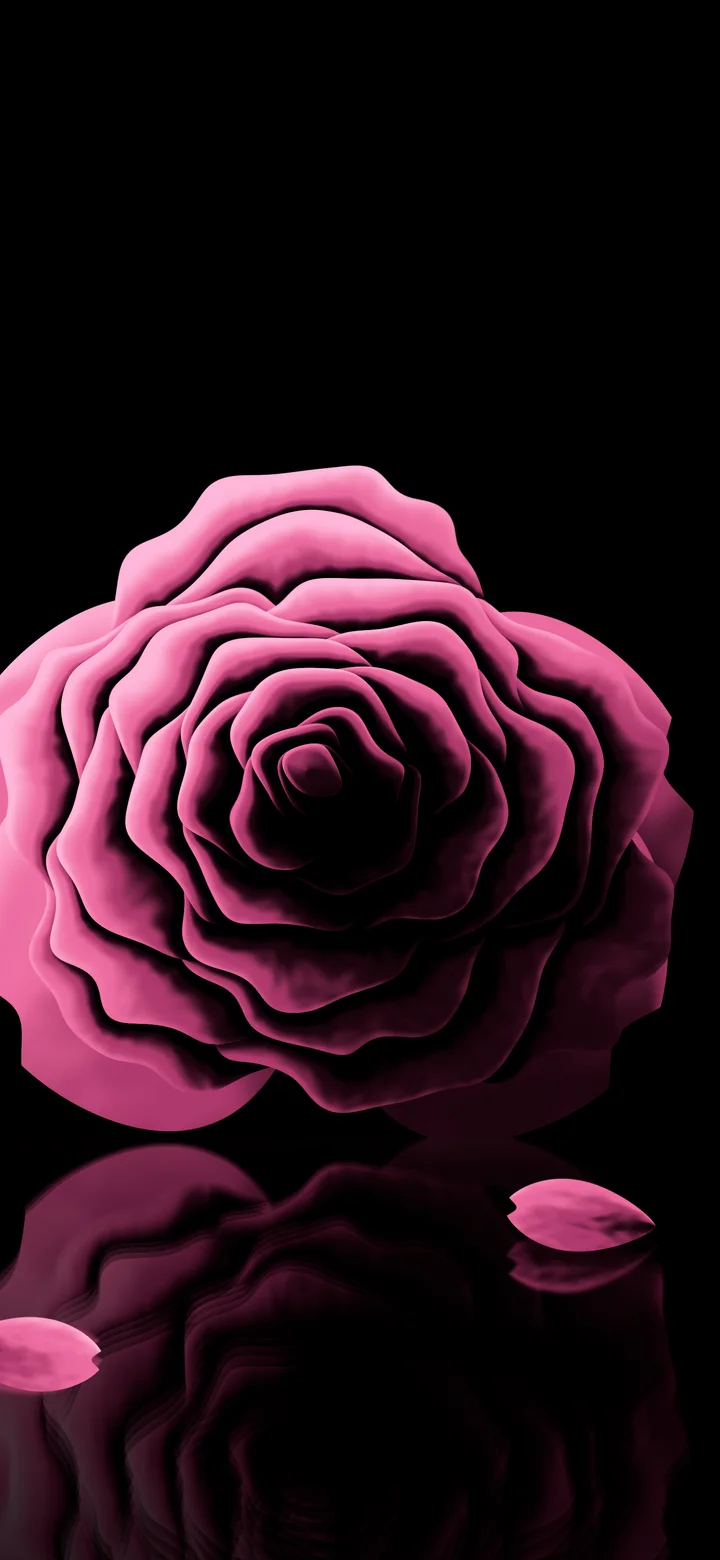 Pink Rose Reflection wallpaper for iPhone and Android