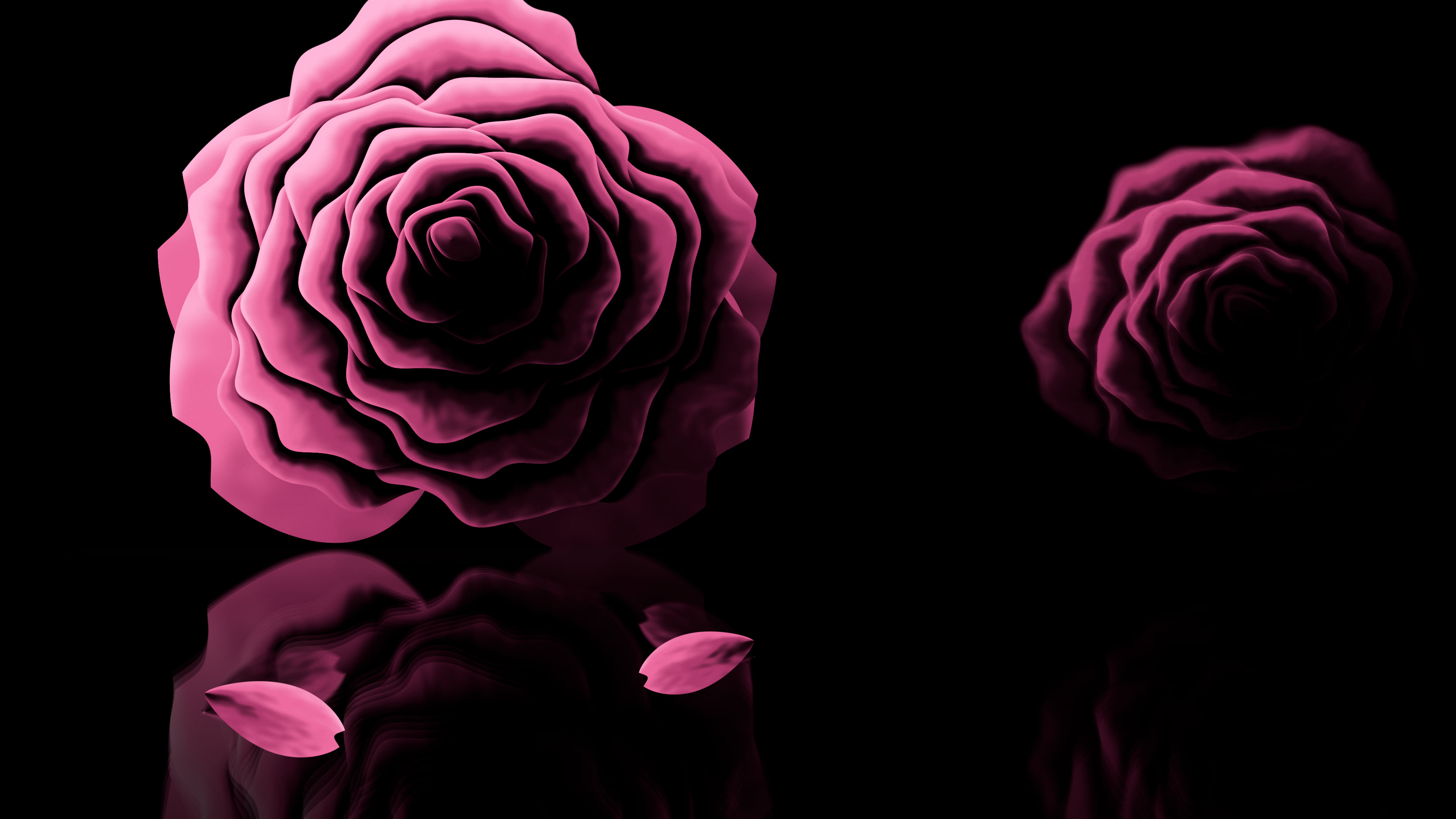 Pink Rose Reflection desktop wallpaper in 4K