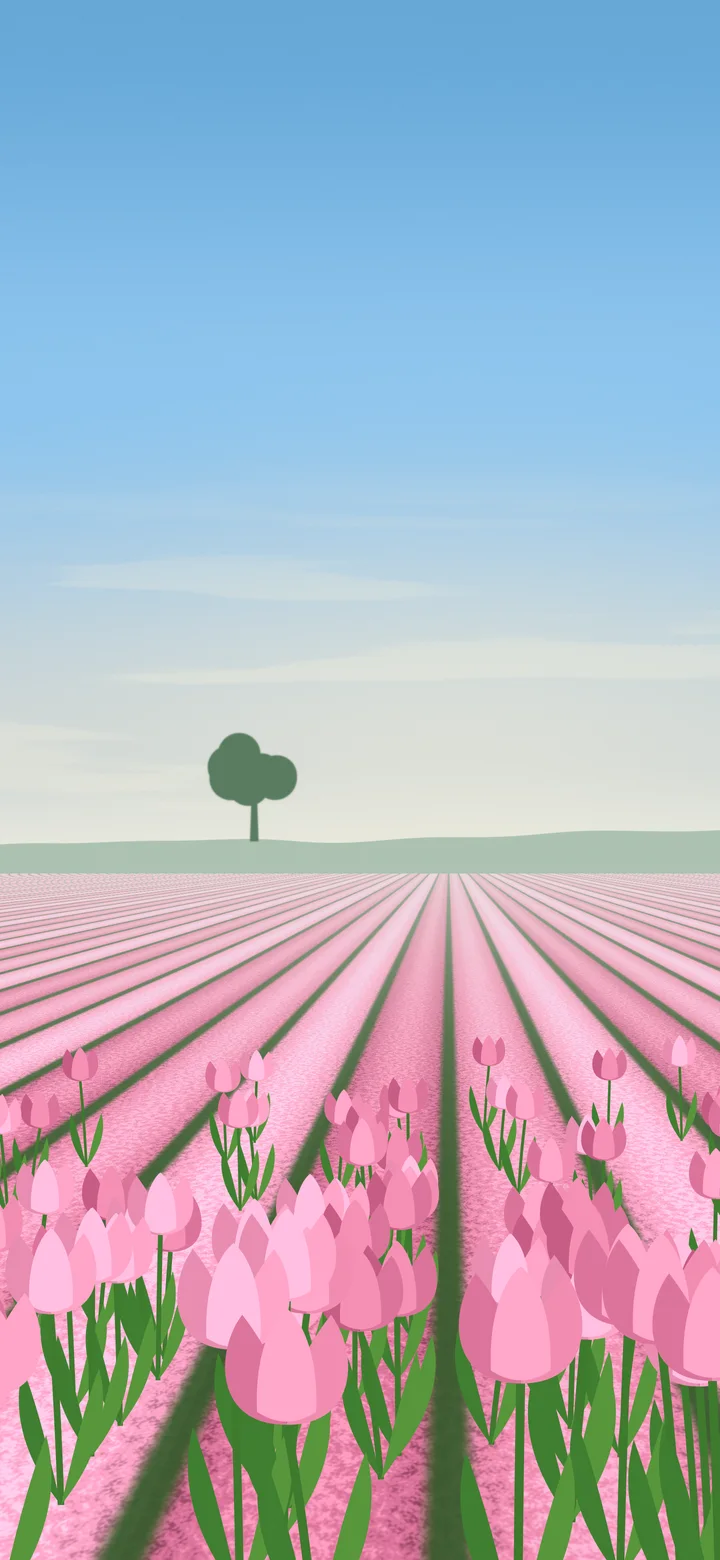 Pink Tulip Field wallpaper for iPhone and Android