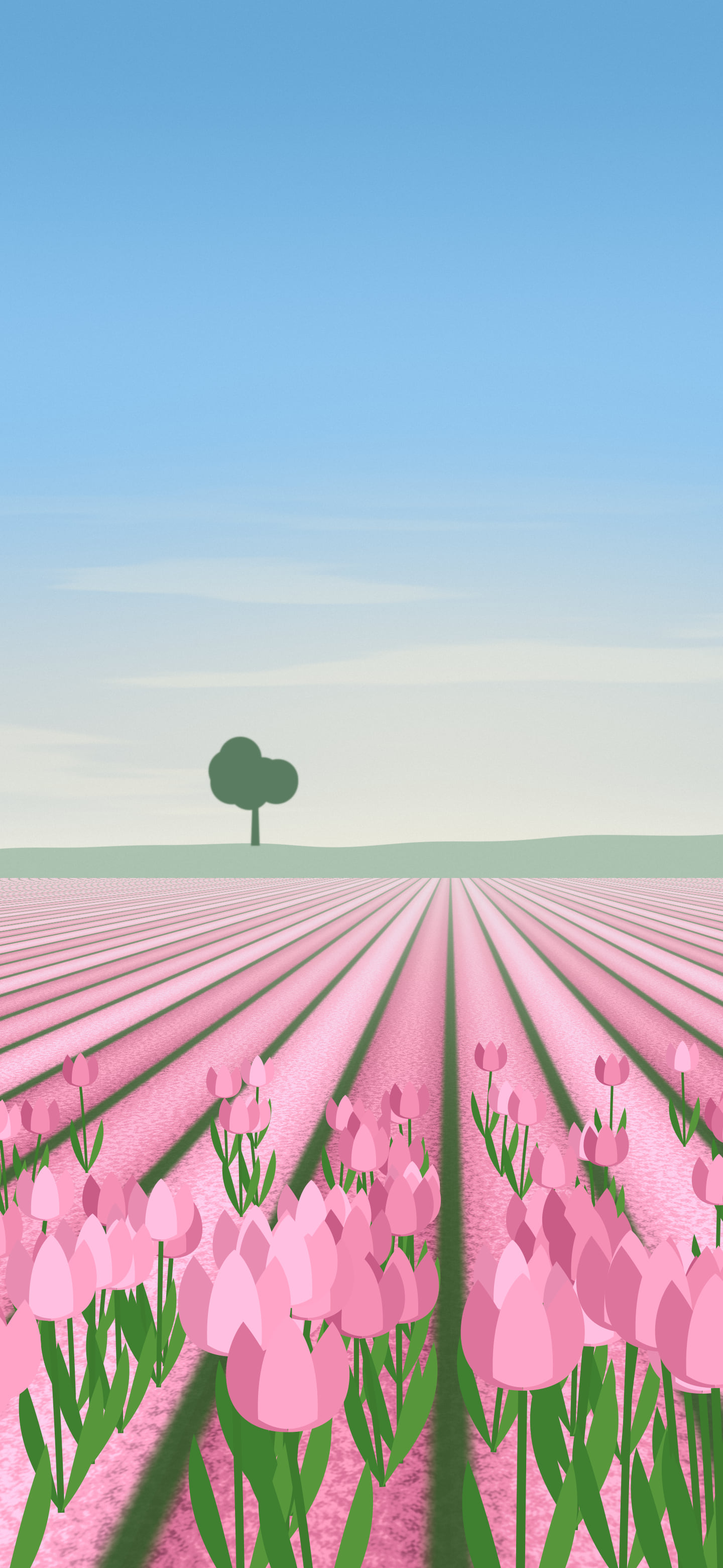 Pink Tulip Field wallpaper for iPhone and Android