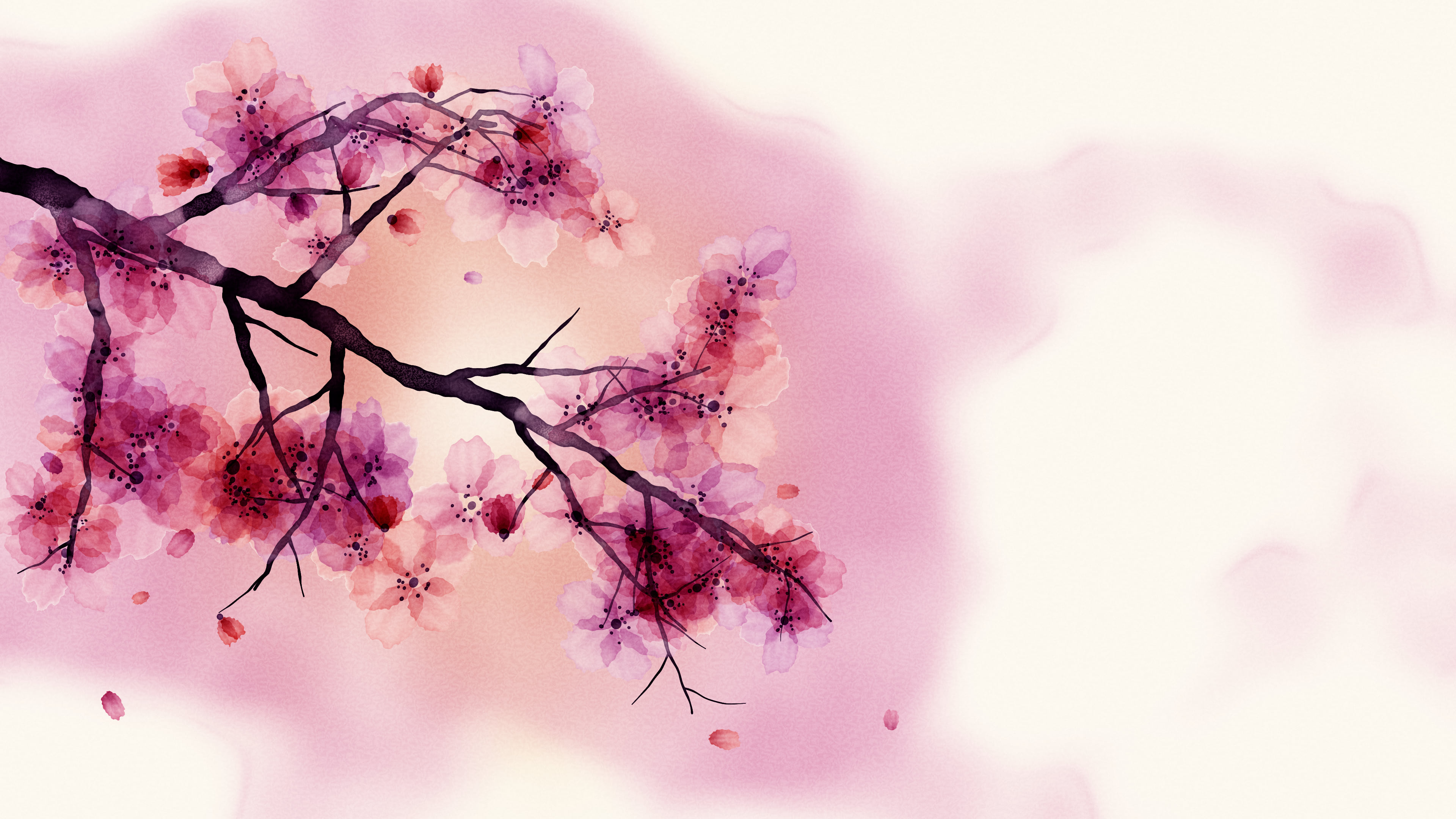 Pink Watercolor Cherry Blossom Branch desktop wallpaper in 4K