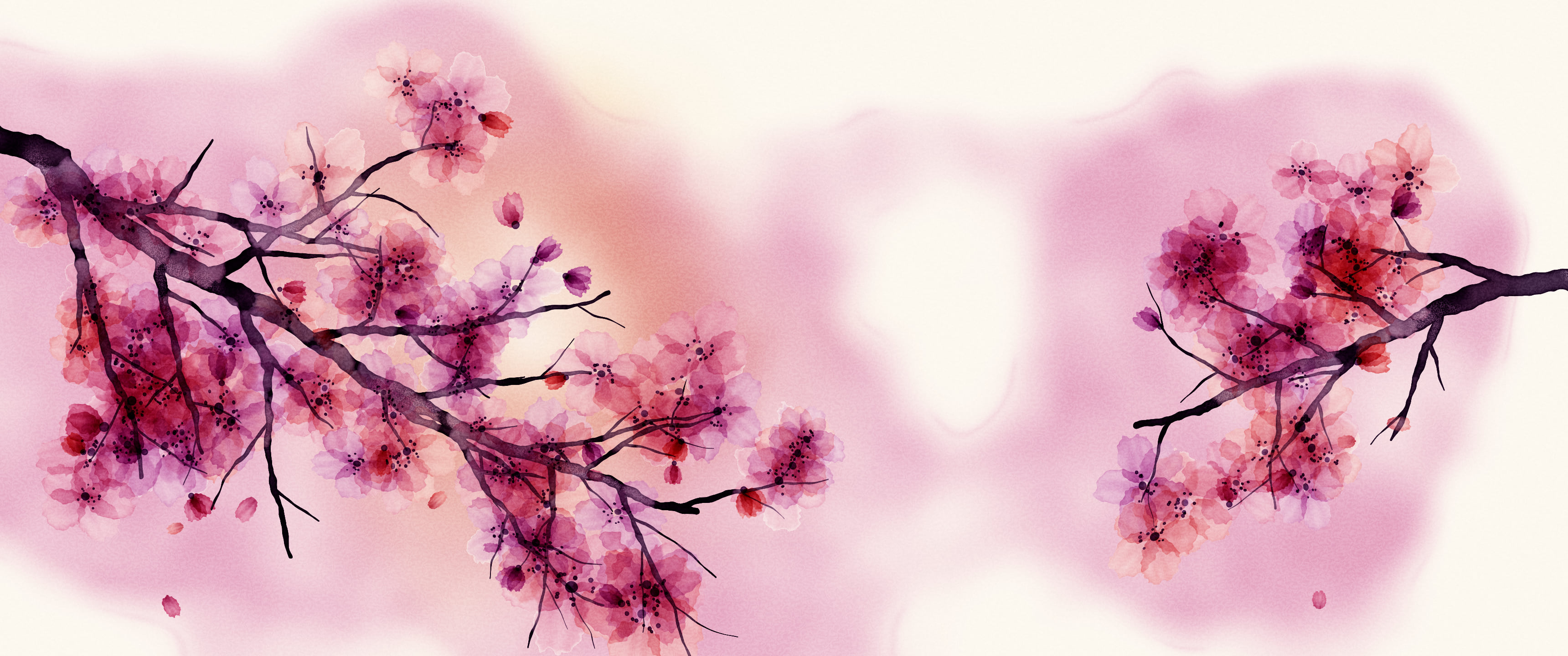 Pink Watercolor Cherry Blossom Branch ultrawide wallpaper, 3440 × 1440