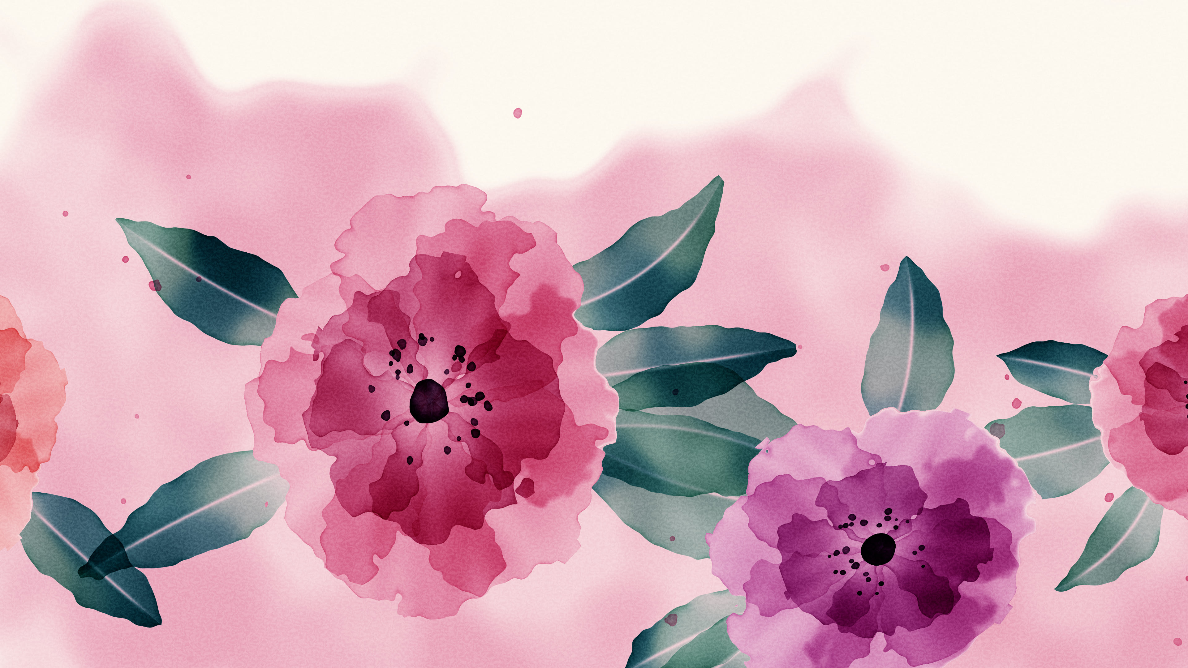 Pink Watercolor Flowers desktop wallpaper in 4K