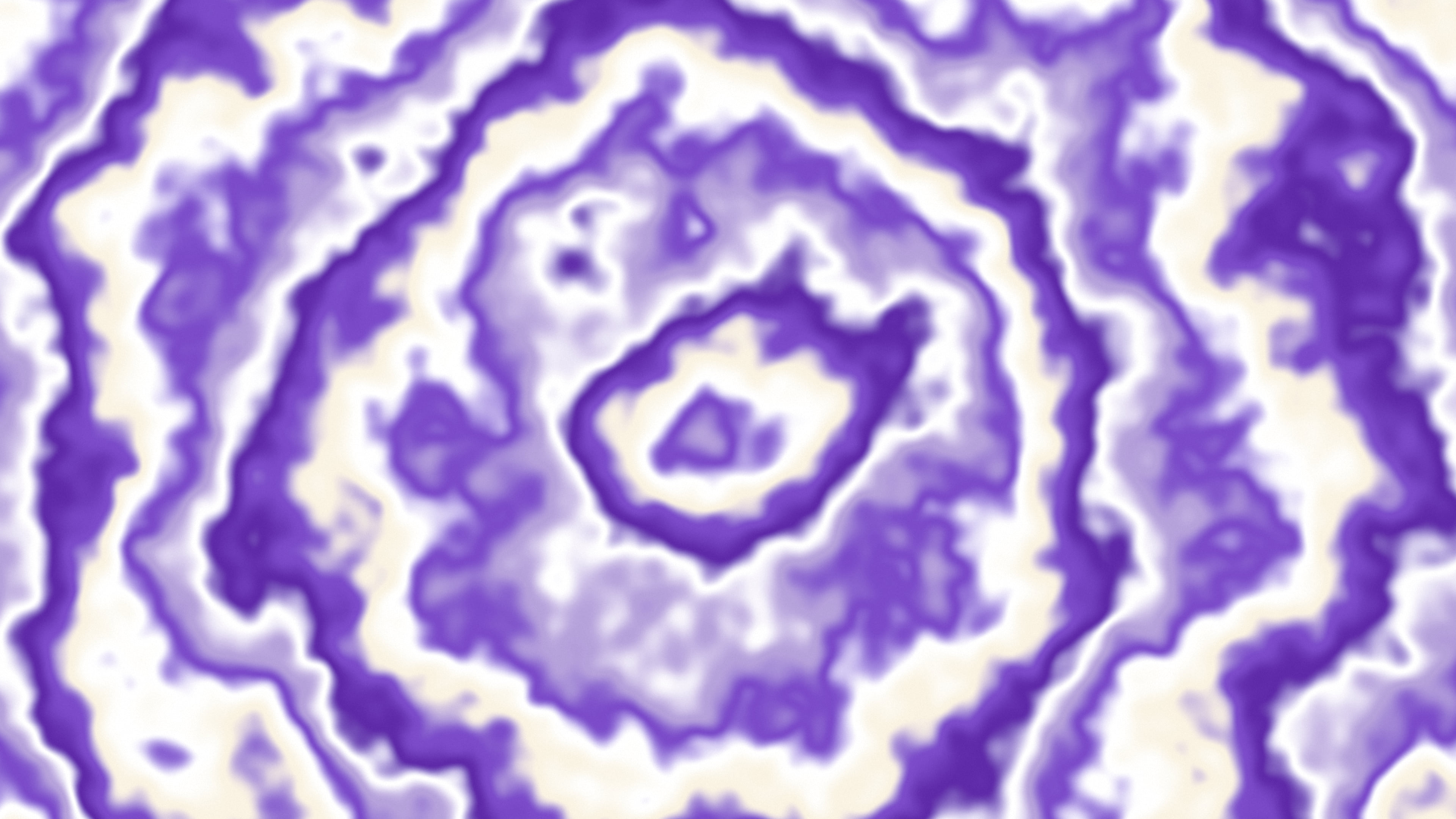 Purple and Cream Bullseye Tie Dye desktop wallpaper in 4K