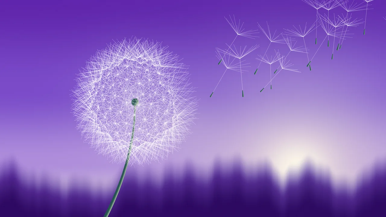 Purple Dandelion desktop wallpaper in 4K