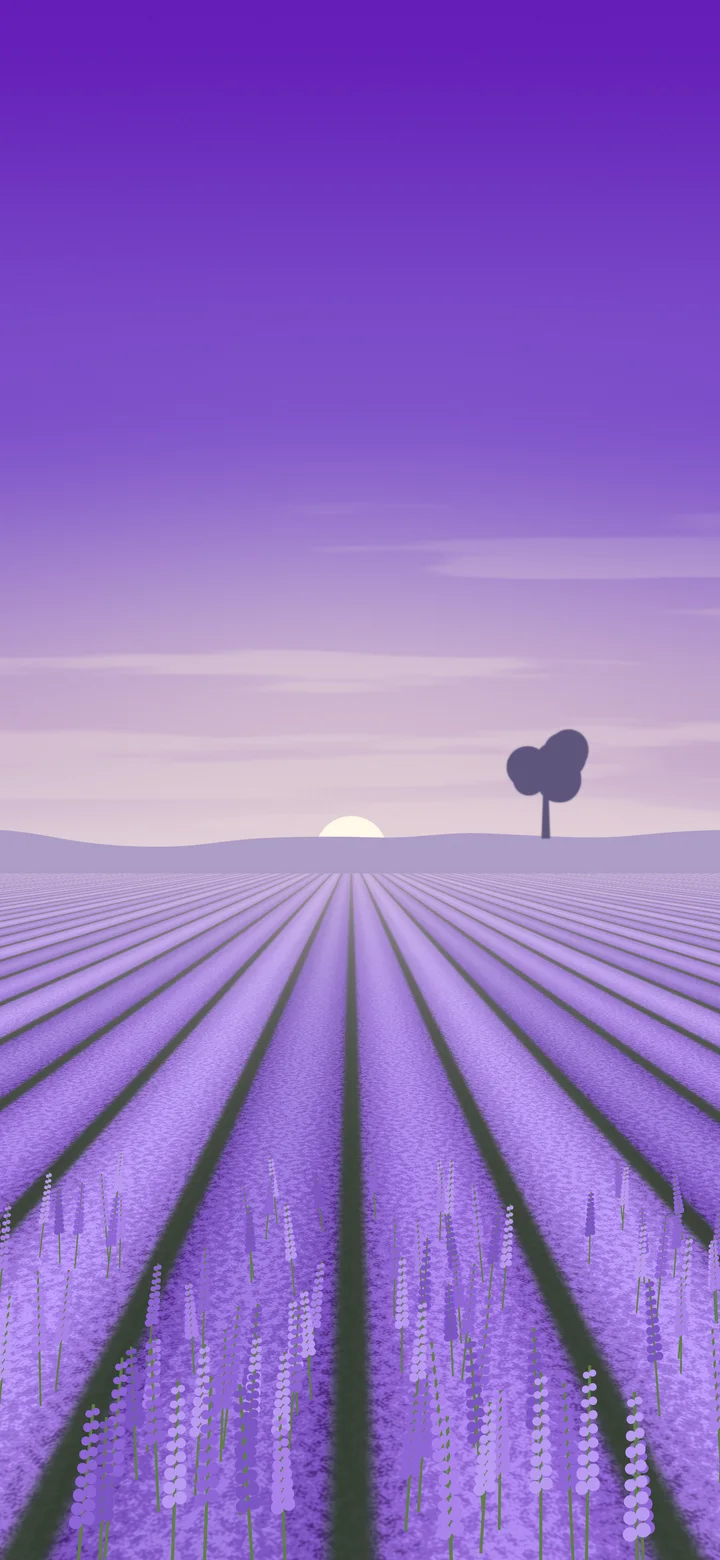 Purple Lavender Field wallpaper for iPhone and Android