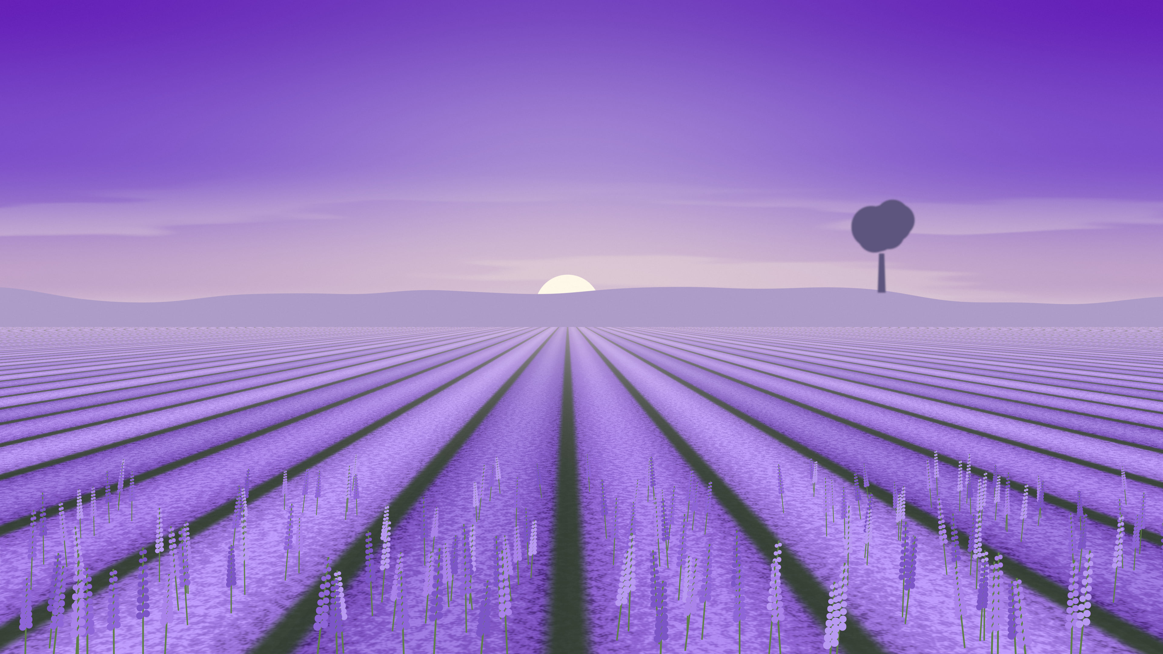 Purple Lavender Field desktop wallpaper in 4K