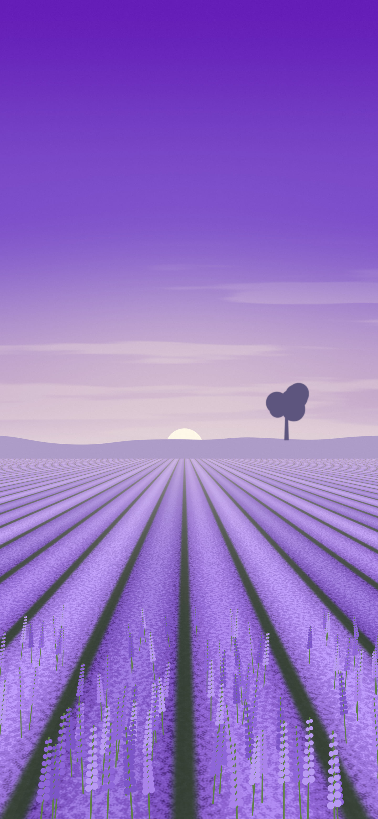 Purple Lavender Field wallpaper for iPhone and Android