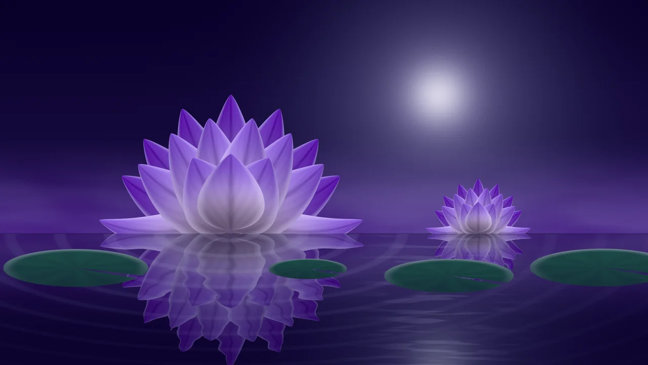 Purple Lotus Flower desktop wallpaper in 4K