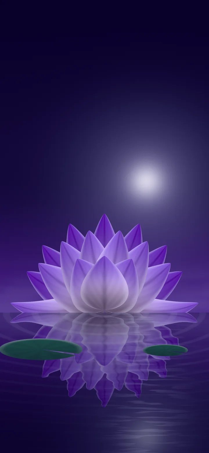 Purple Lotus Flower wallpaper for iPhone and Android