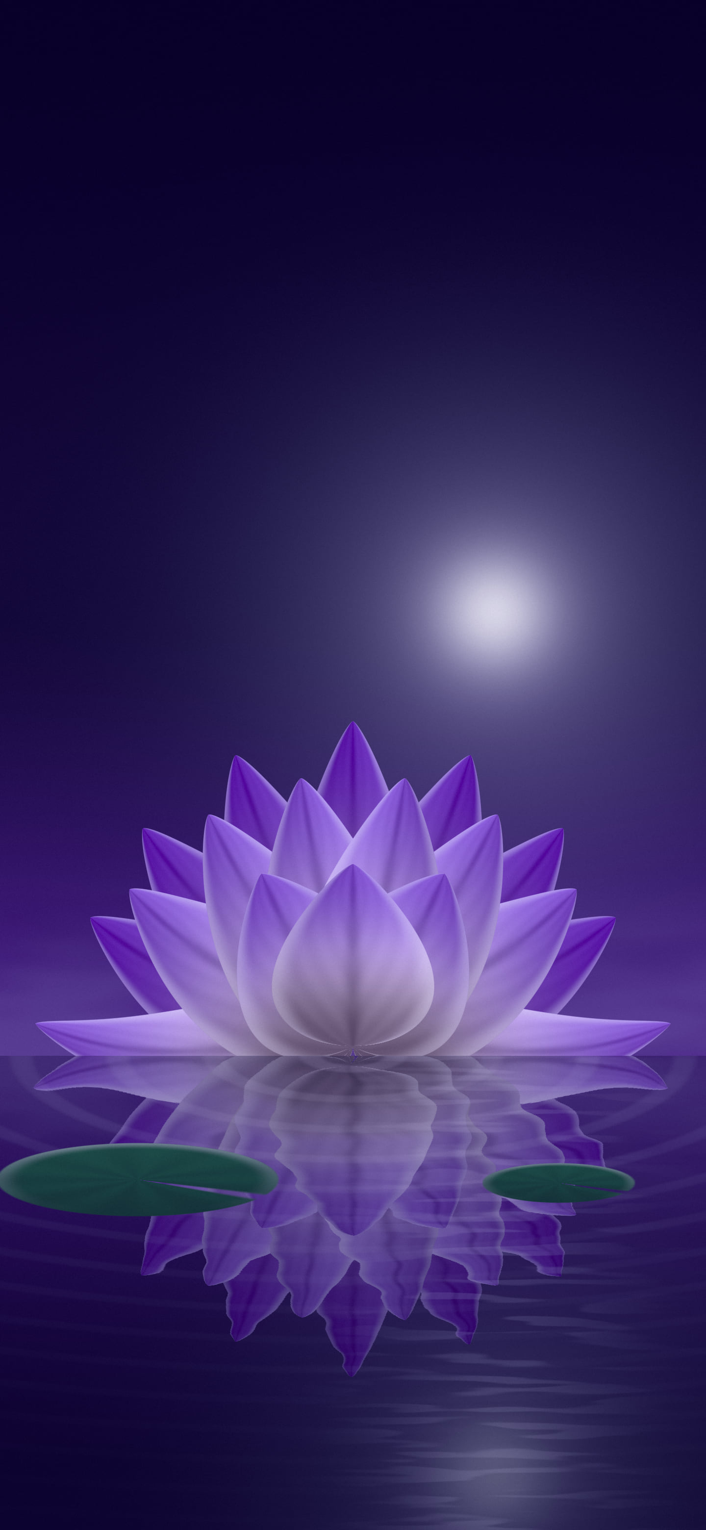 Purple Lotus Flower wallpaper for iPhone and Android