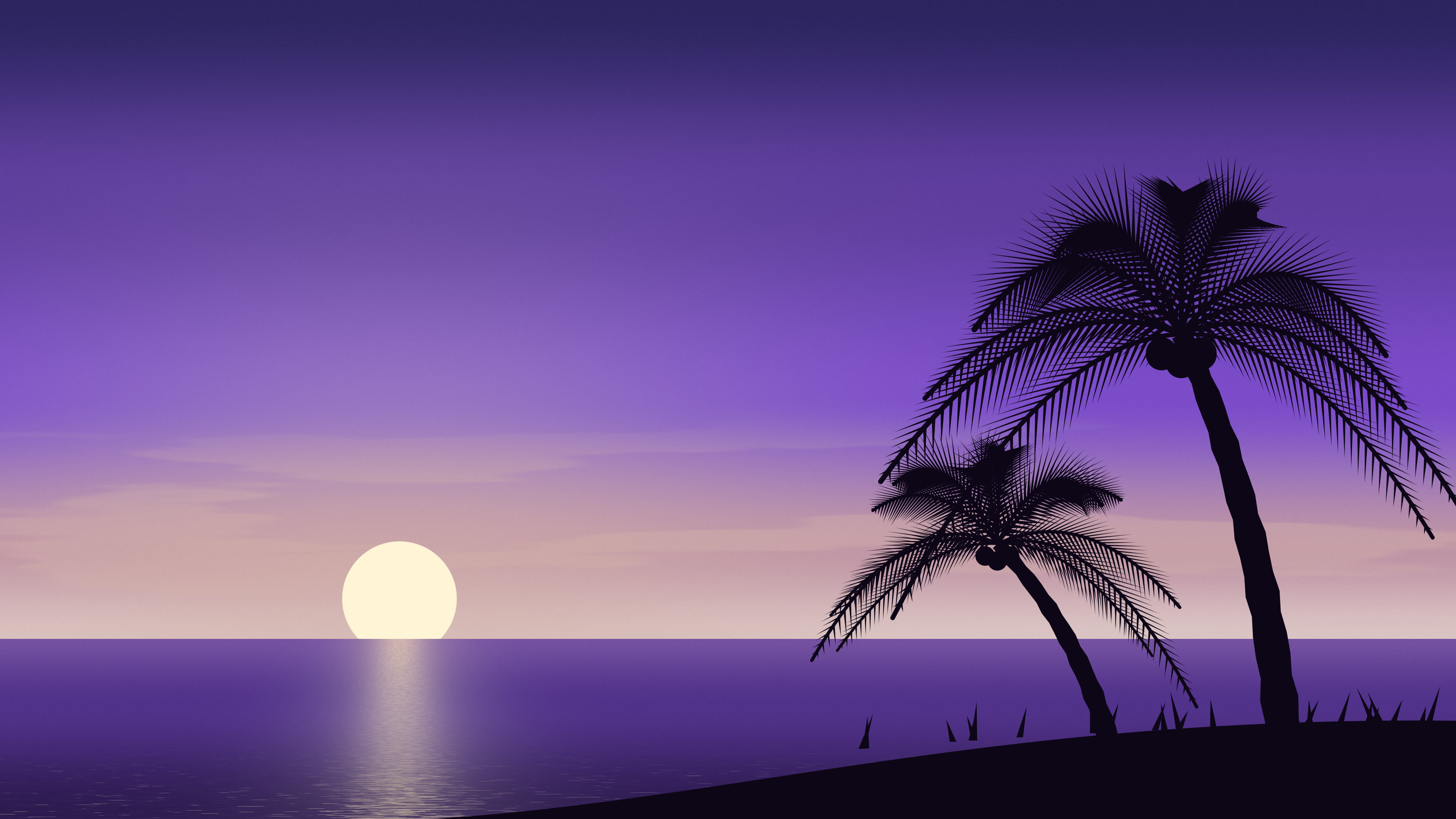 Purple Palm Tree Sunset desktop wallpaper in 4K