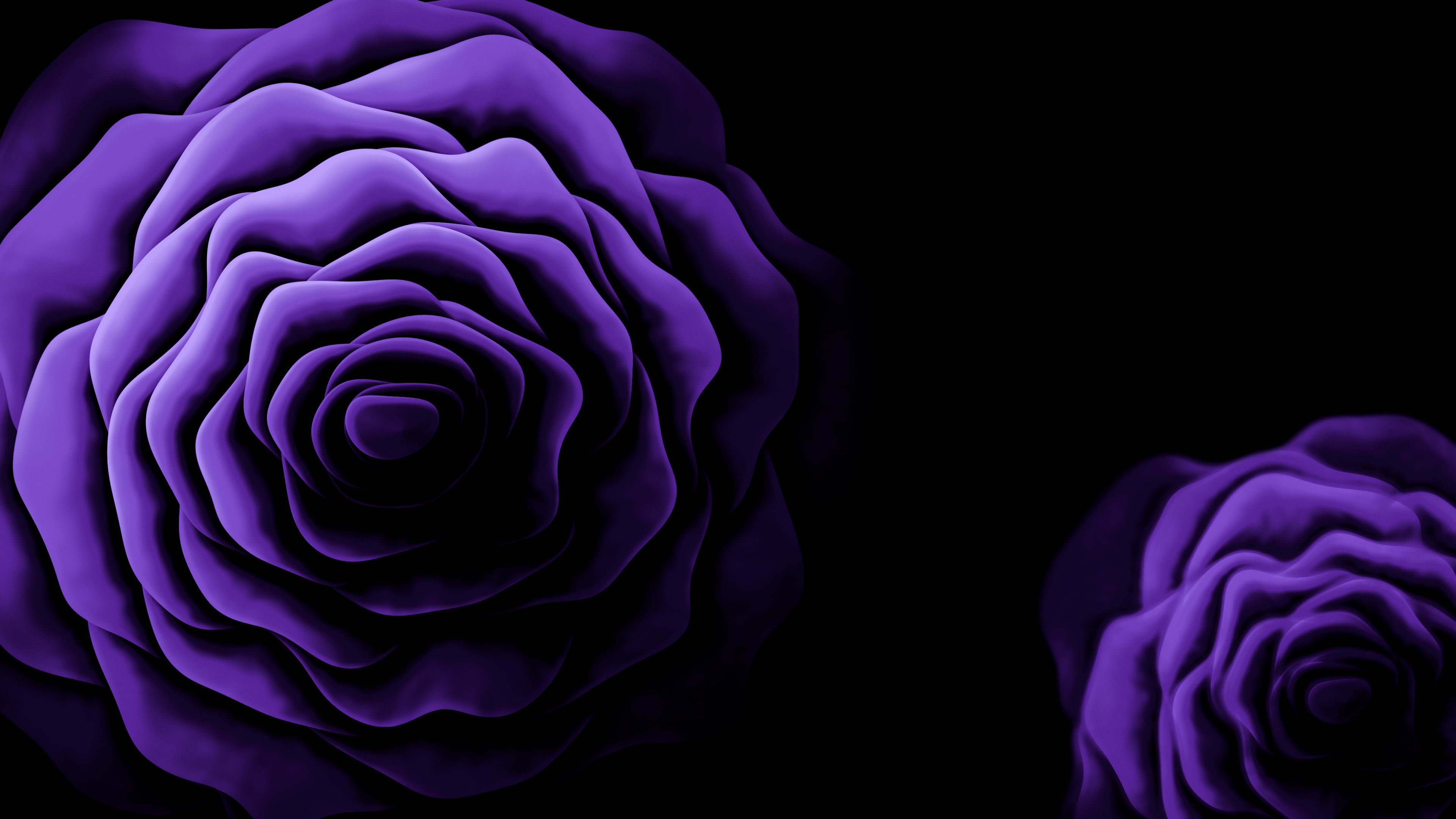 Purple Rose from Above desktop wallpaper in 4K