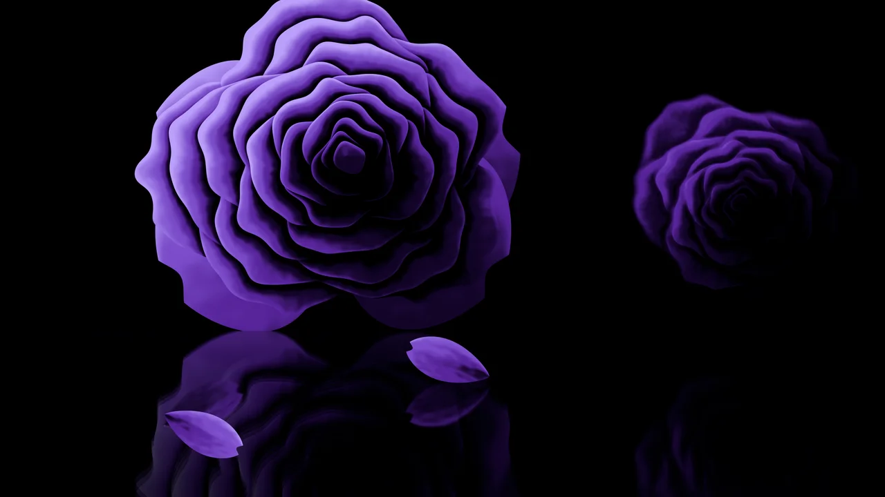 Purple Rose Reflection desktop wallpaper in 4K