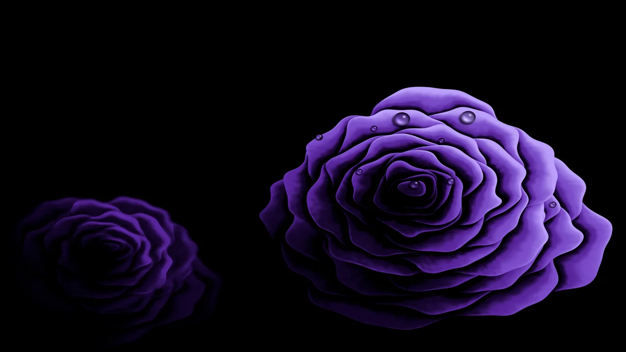 Purple Rose with Dew Drops desktop wallpaper in 4K