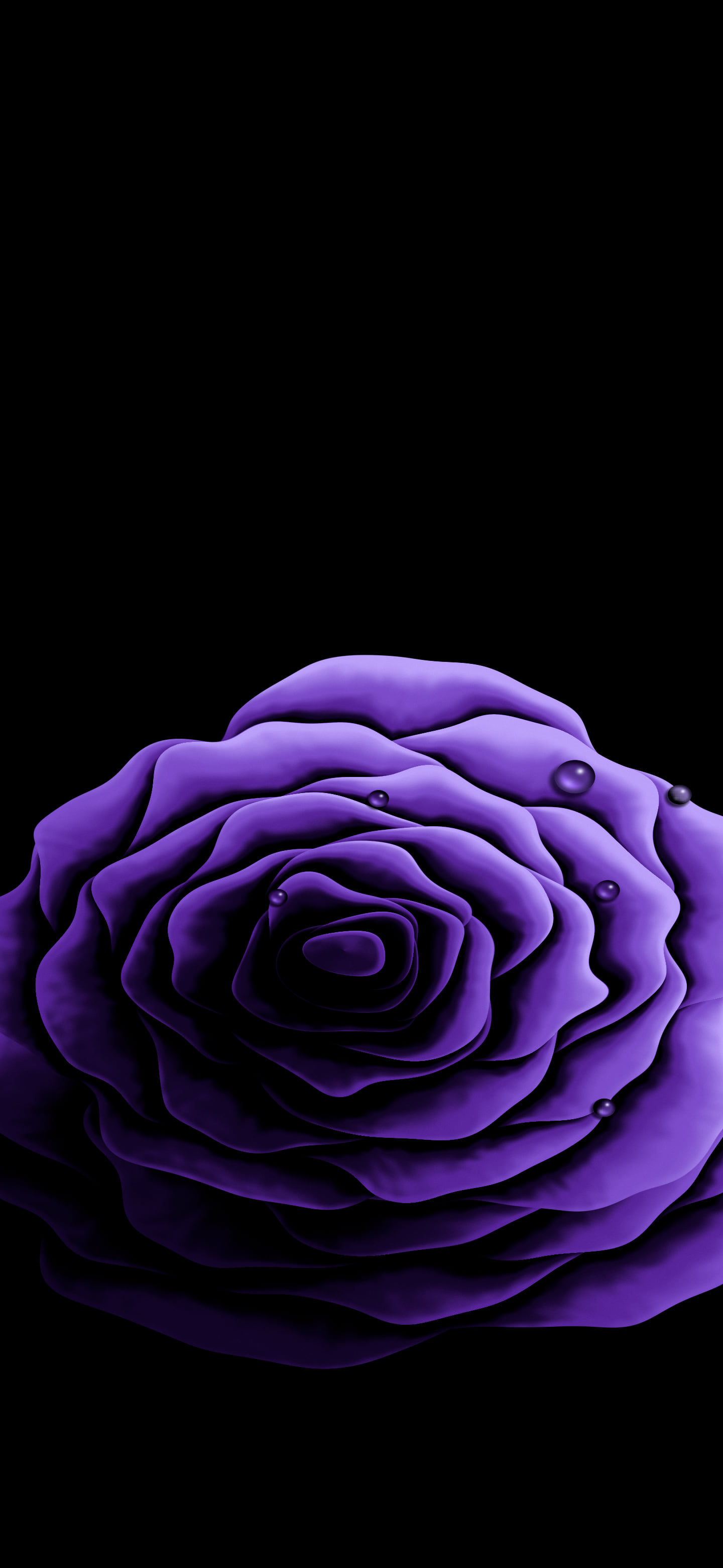 Purple Rose with Dew Drops wallpaper for iPhone and Android