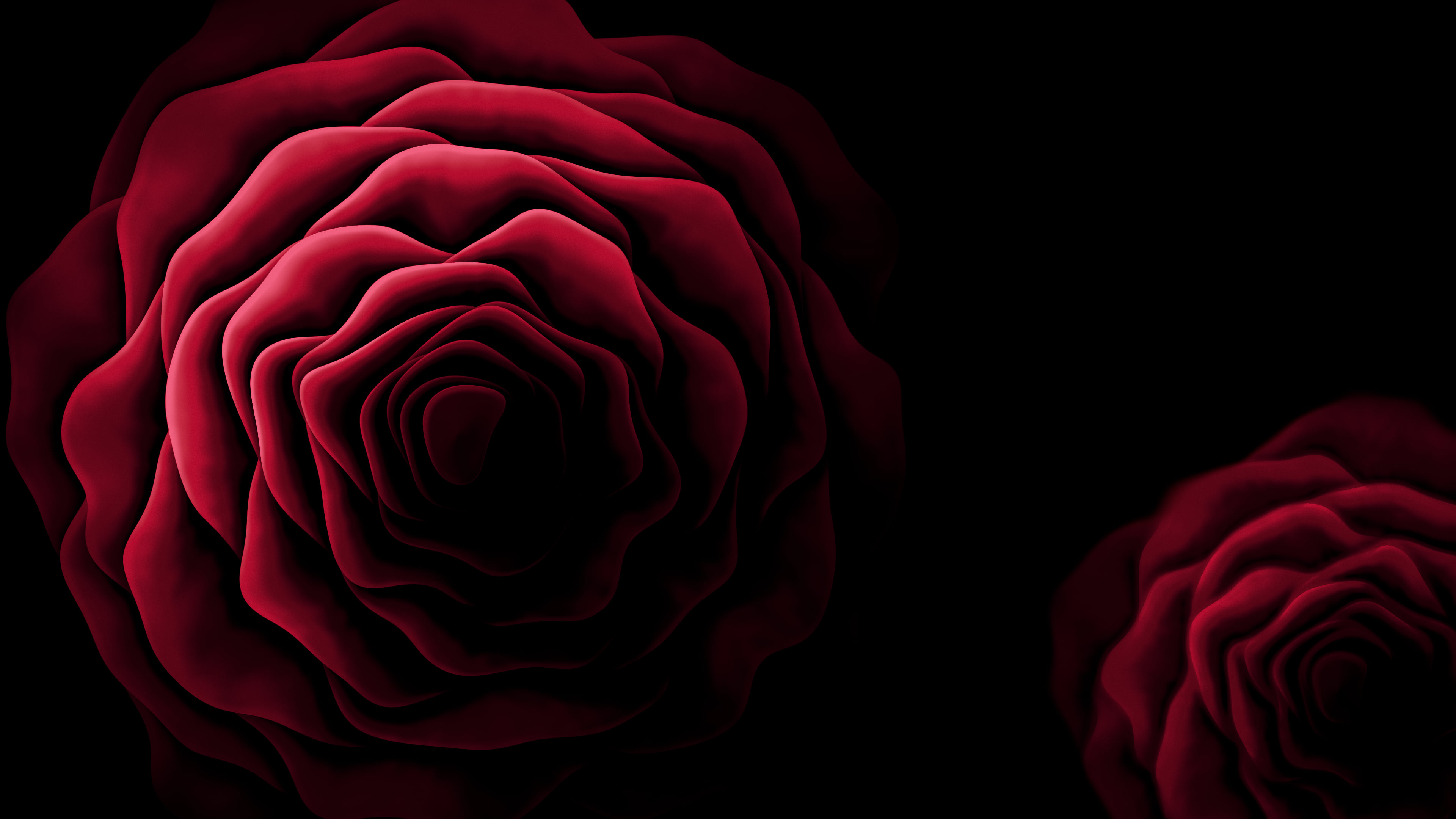 Red Rose from Above desktop wallpaper in 4K