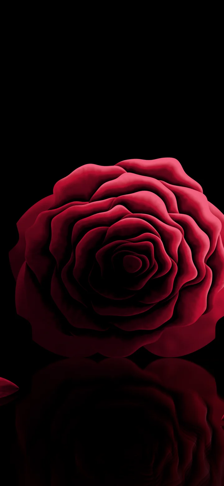 Red Rose Reflection wallpaper for iPhone and Android