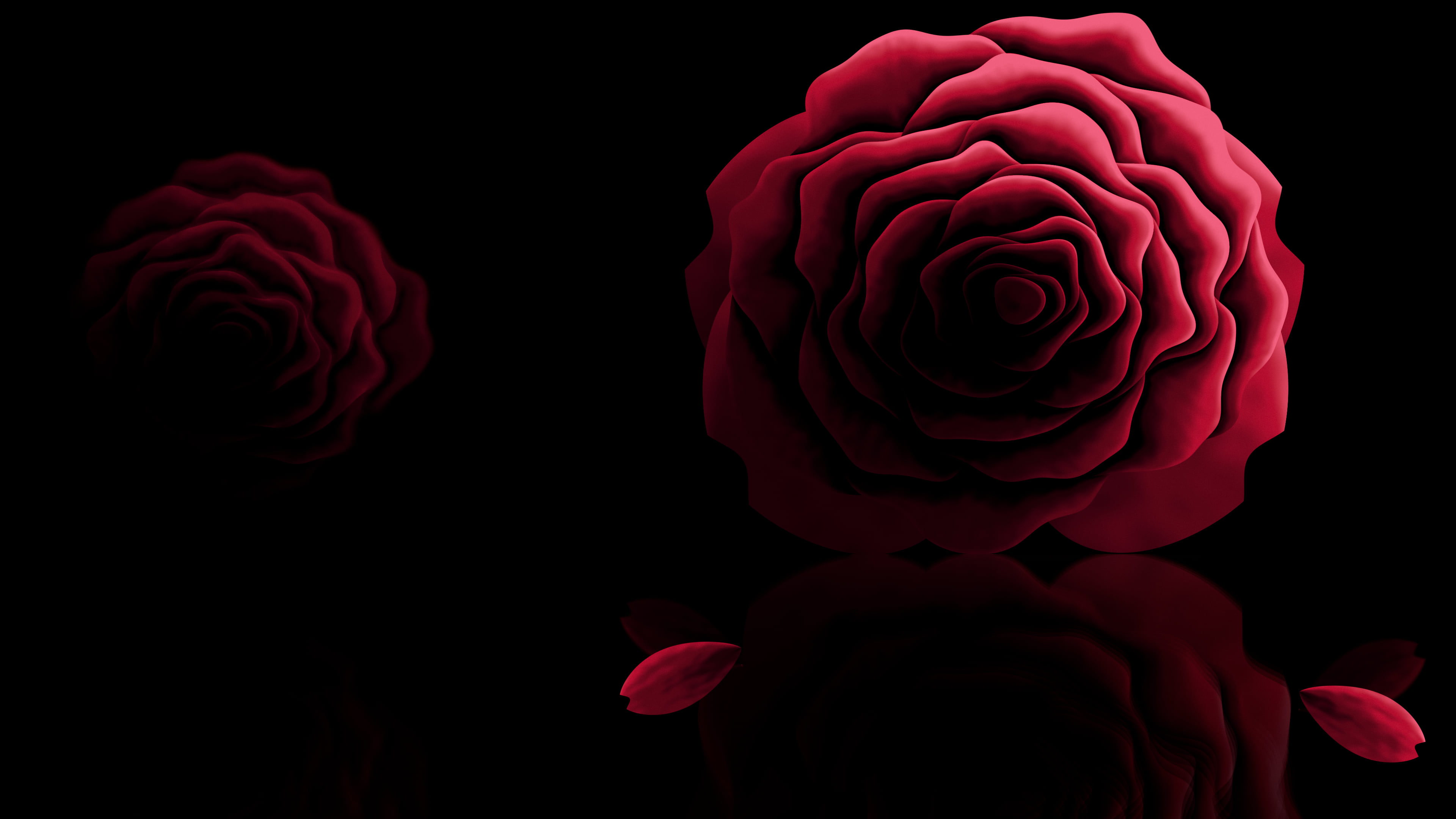 Red Rose Reflection desktop wallpaper in 4K