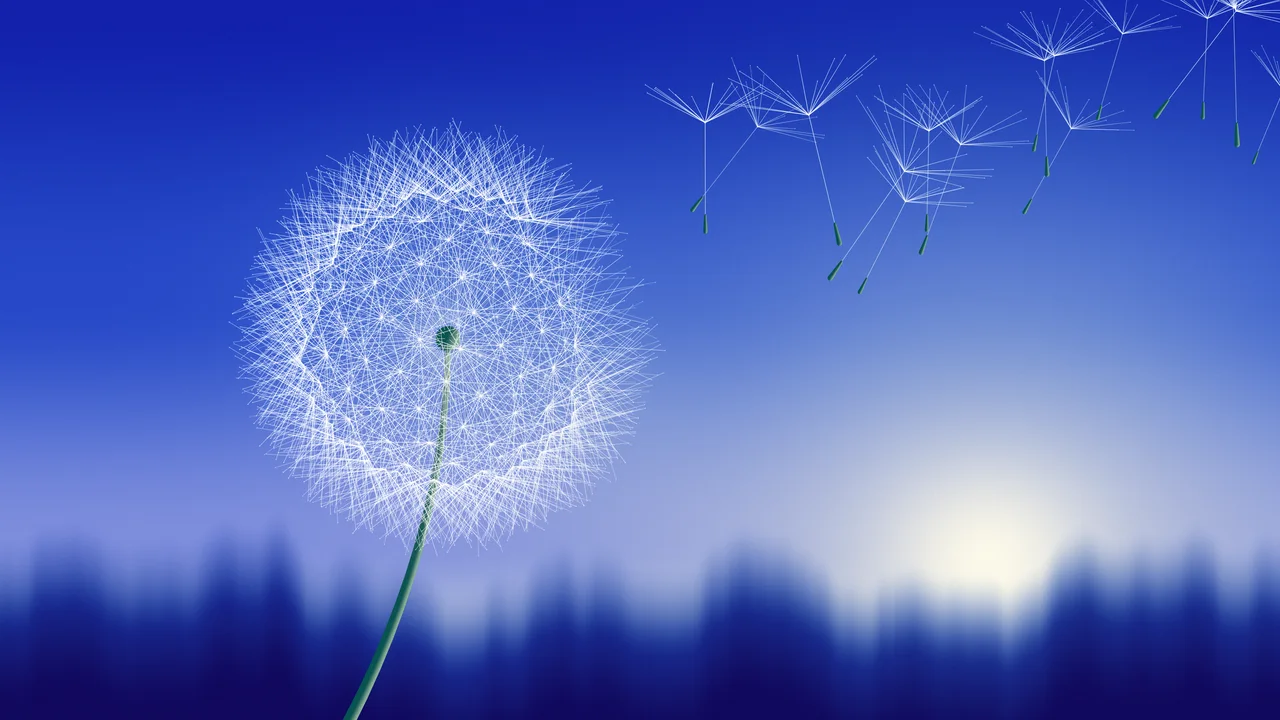 Royal Blue Dandelion desktop wallpaper in 4K