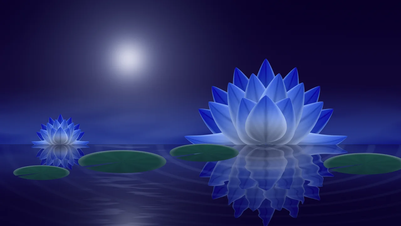 Royal Blue Lotus Flower desktop wallpaper in 4K
